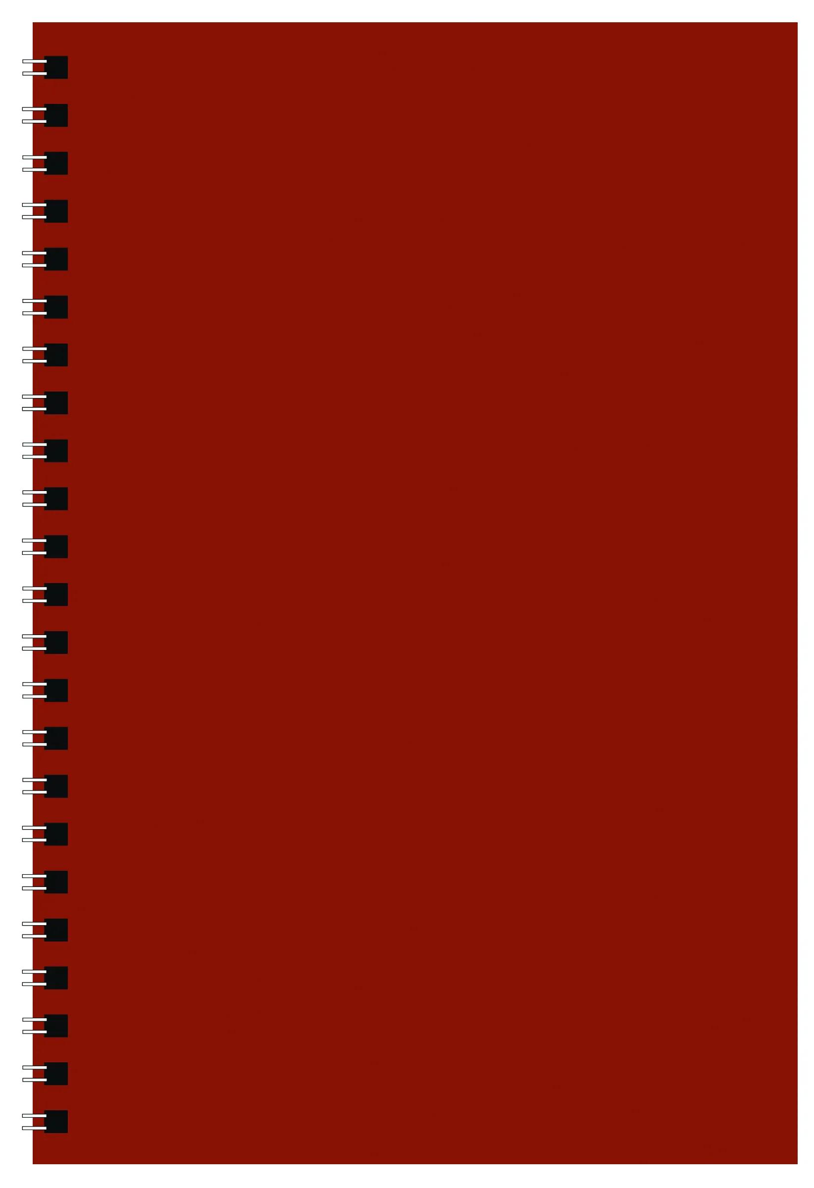 Classic Notebook 8 of 16