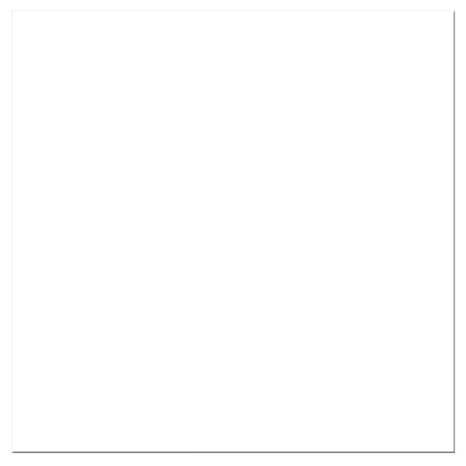 Good Value™ 20 Mil Extra Large Stock Shape Magnet 3 of 18