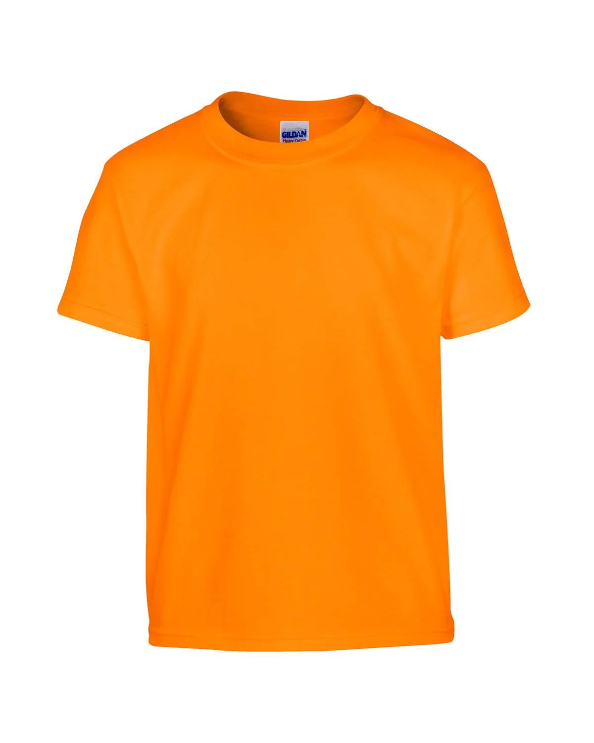 Youth Heavy Cotton™ T-Shirt 64 of 285