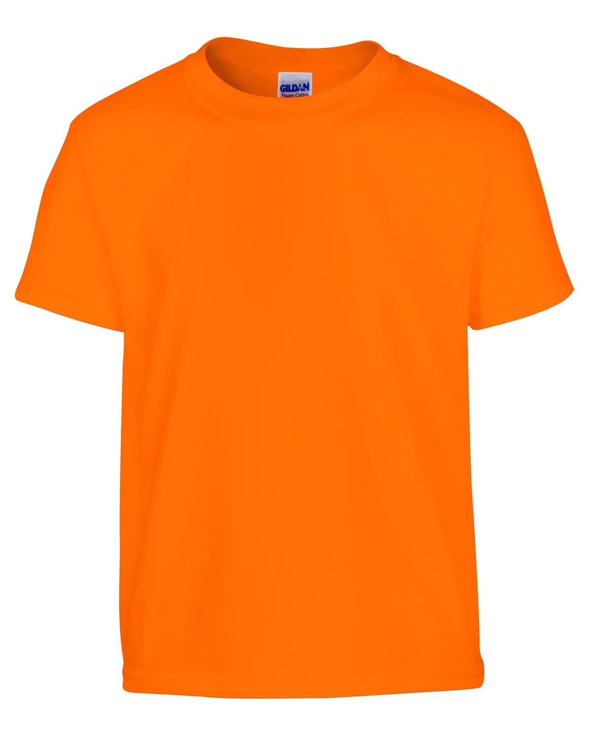 Youth Heavy Cotton™ T-Shirt 180 of 285