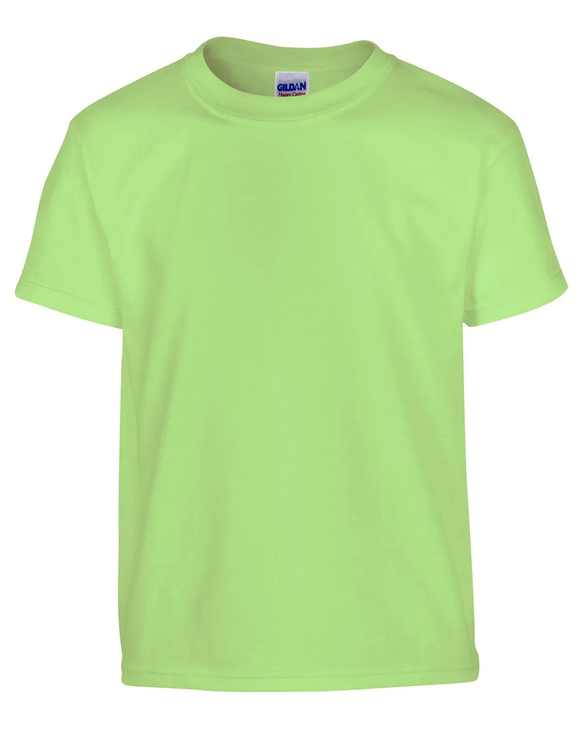 Youth Heavy Cotton™ T-Shirt 199 of 285