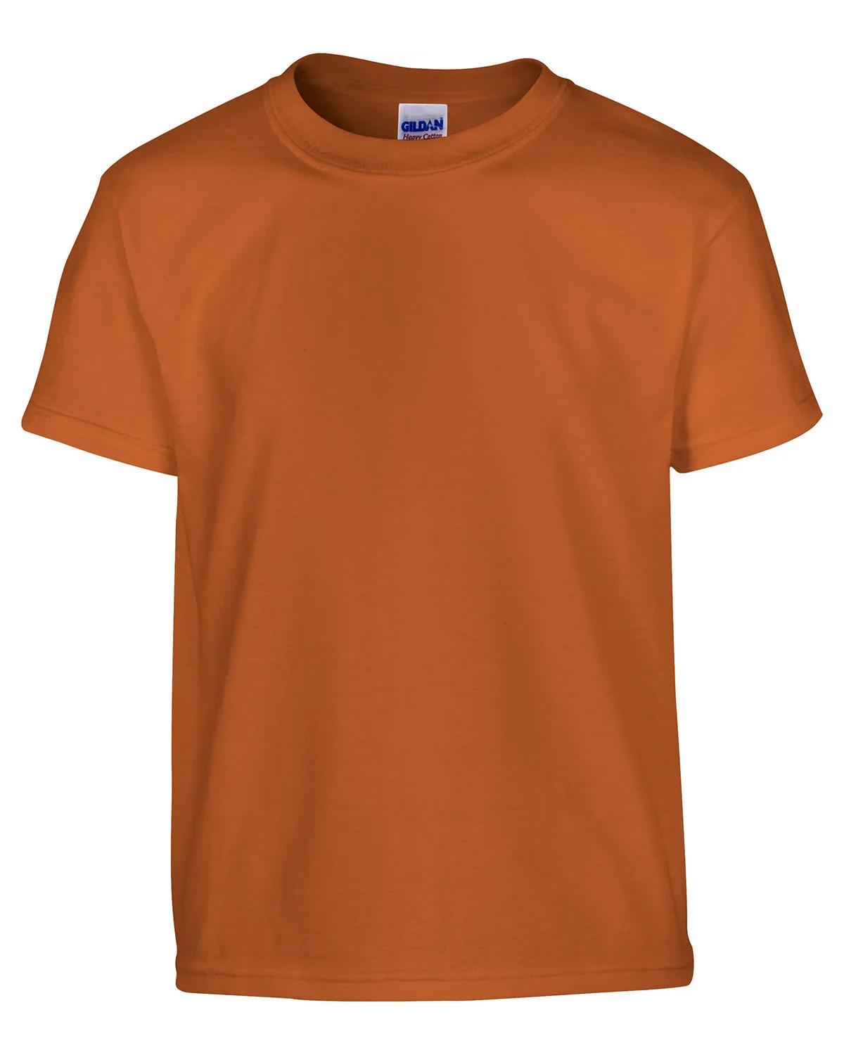 Youth Heavy Cotton™ T-Shirt 274 of 285