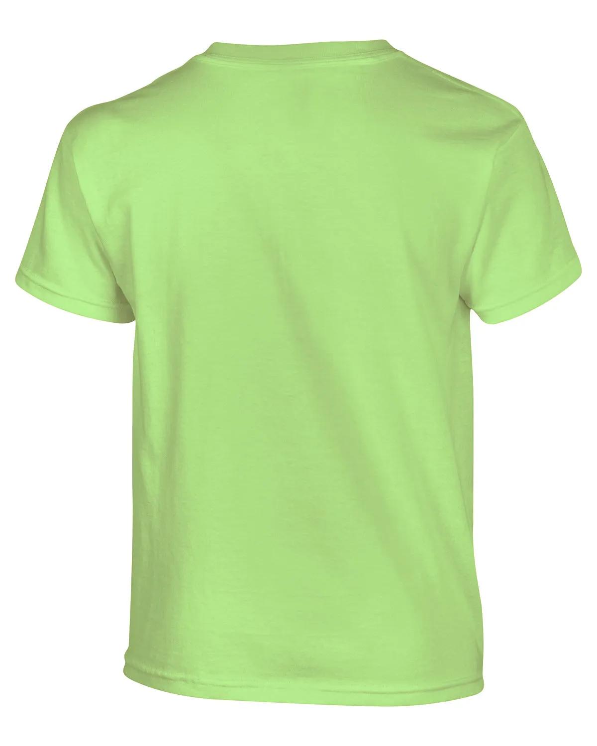 Youth Heavy Cotton™ T-Shirt 201 of 285