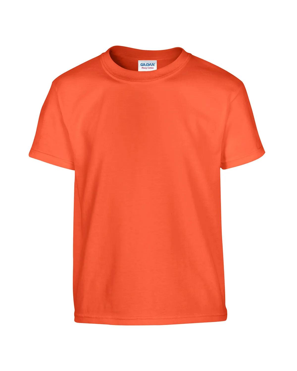 Youth Heavy Cotton™ T-Shirt 117 of 285