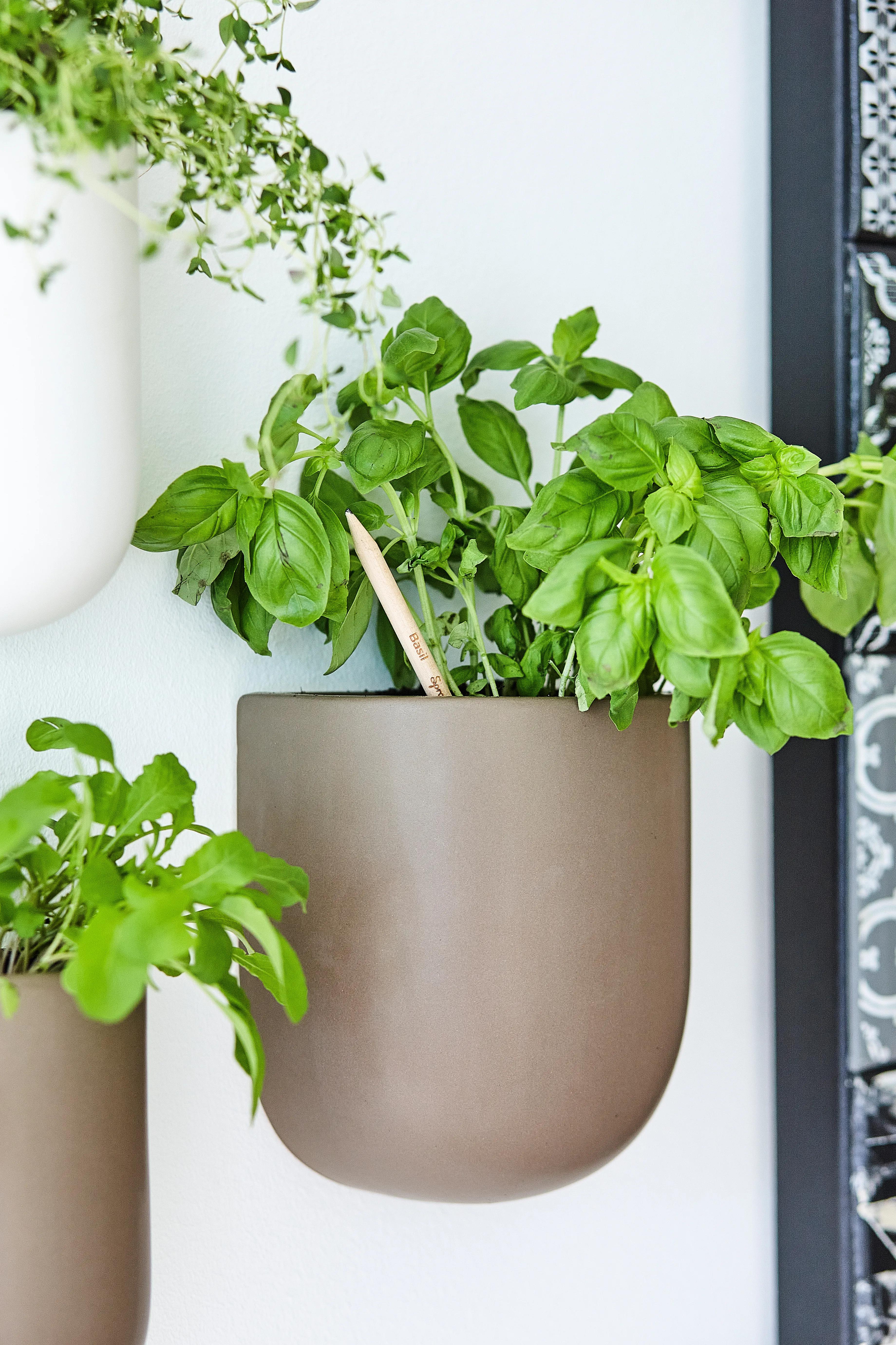 SproutWorld™ Pencil 32 of 81