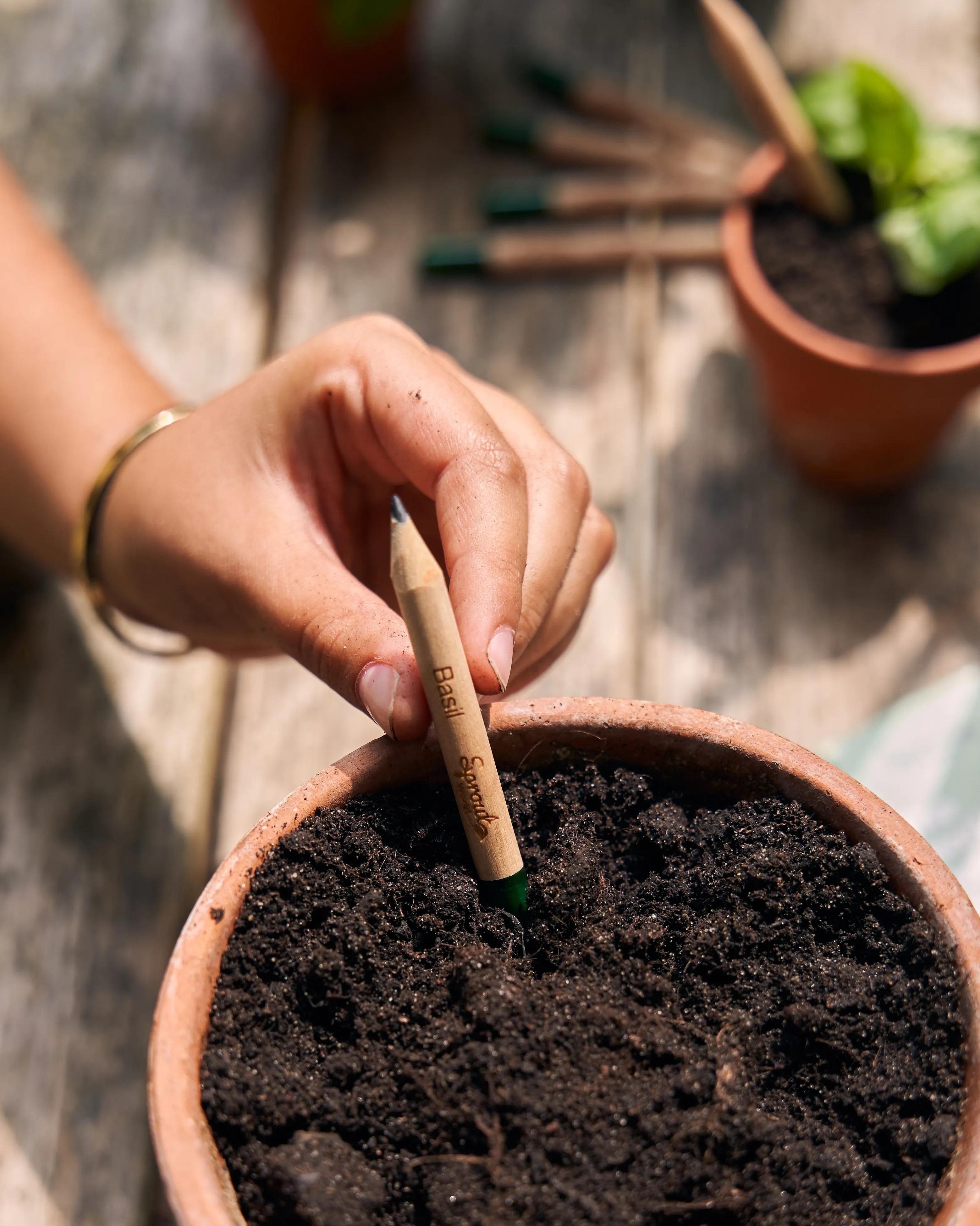 SproutWorld™ Pencil 34 of 81