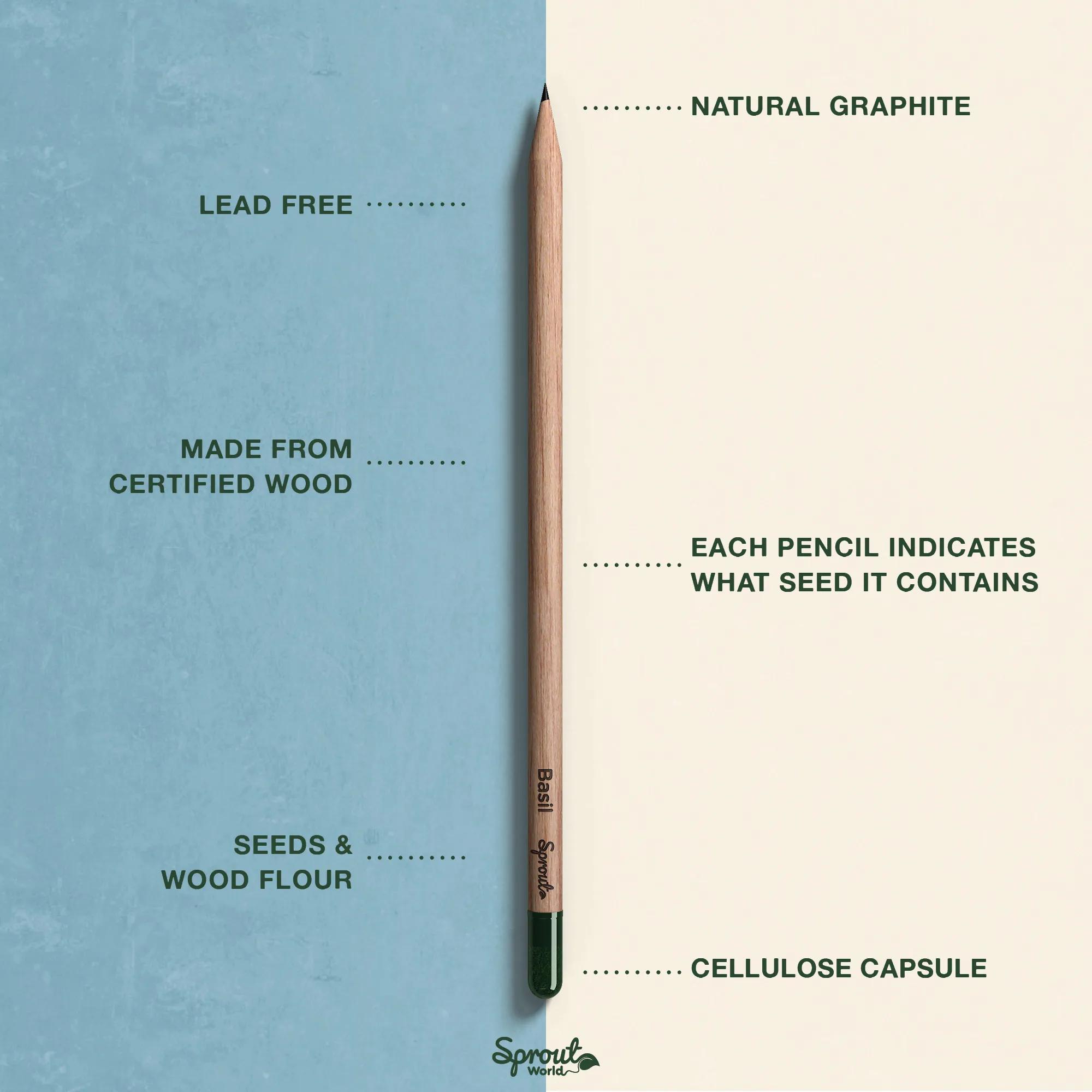 SproutWorld™ Pencil 38 of 81