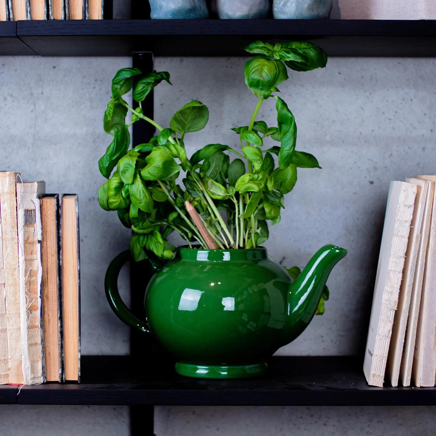 SproutWorld™ Pencil 71 of 81