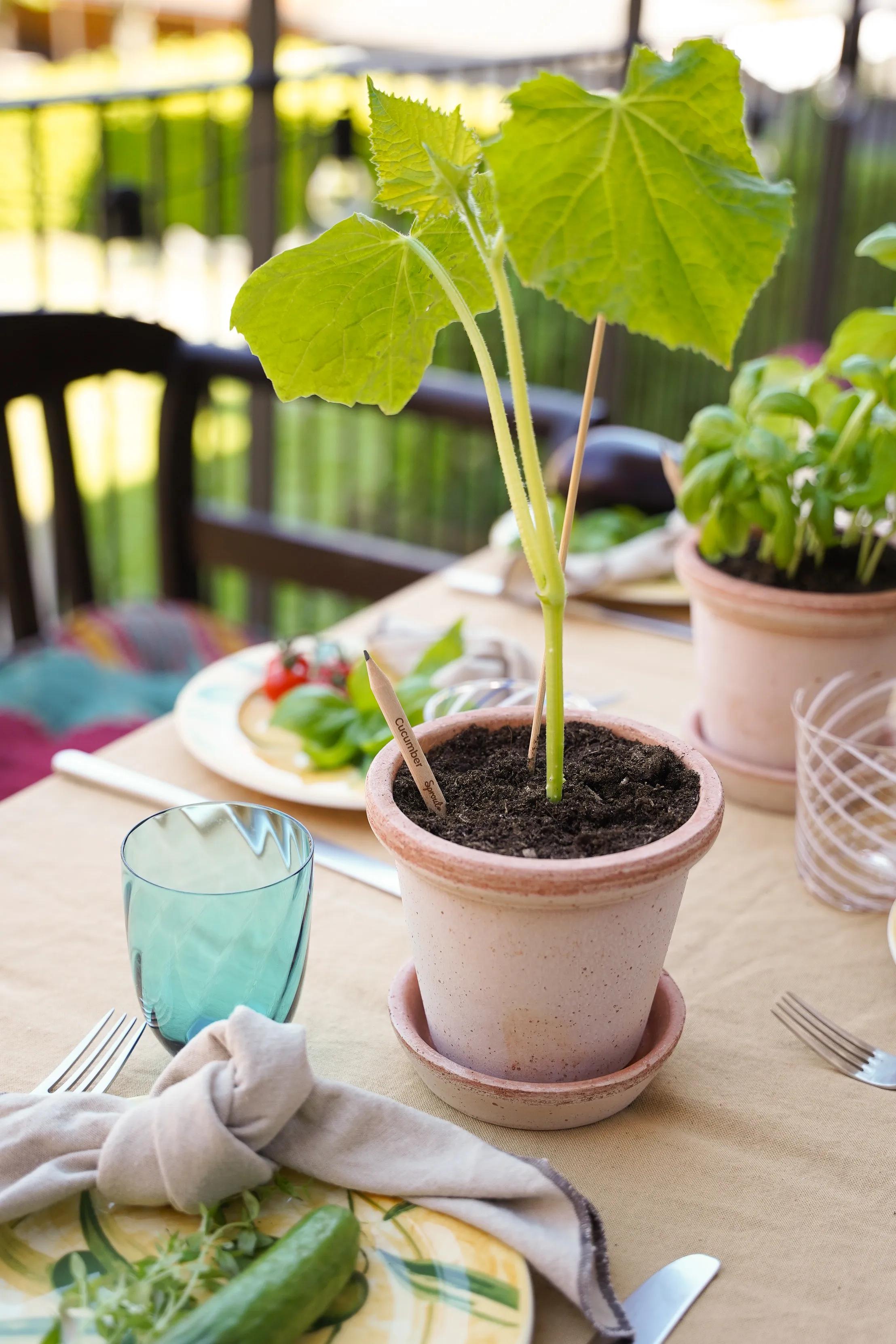 SproutWorld™ Pencil 73 of 81