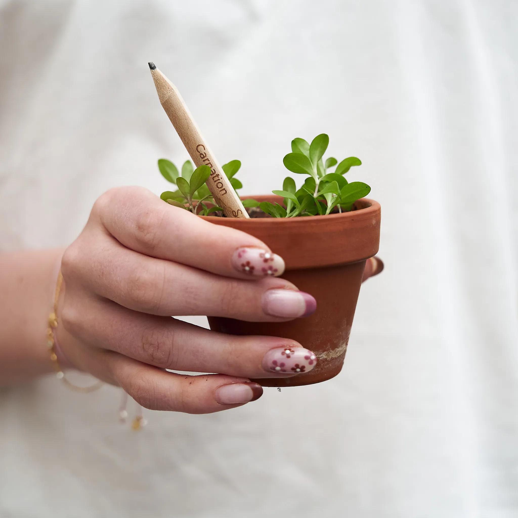 SproutWorld™ Pencil 68 of 81