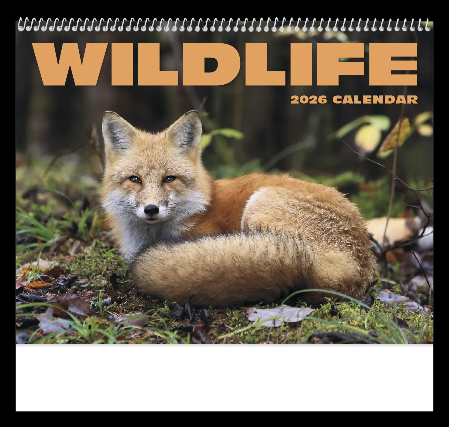 HotLine® Products Norman Rockwell Appointment Calendar - Spiral 24 of 42