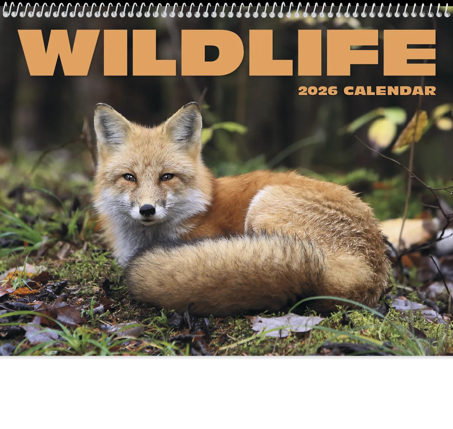 HotLine® Products Norman Rockwell Appointment Calendar - Spiral 23 of 42