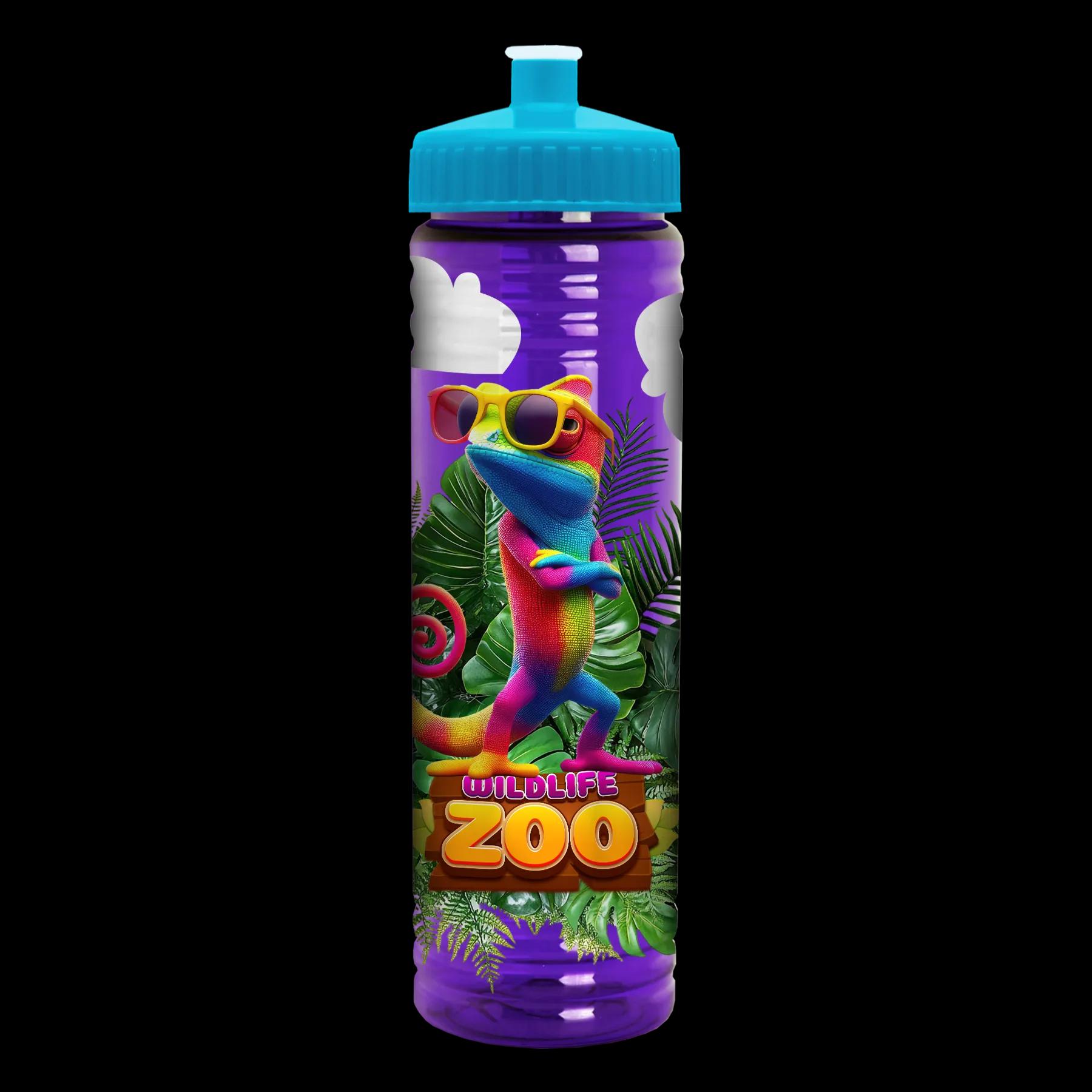 Garyline® Slim Fit RPET Bottle with Push-Pull Lid - 24 oz. 306 of 366