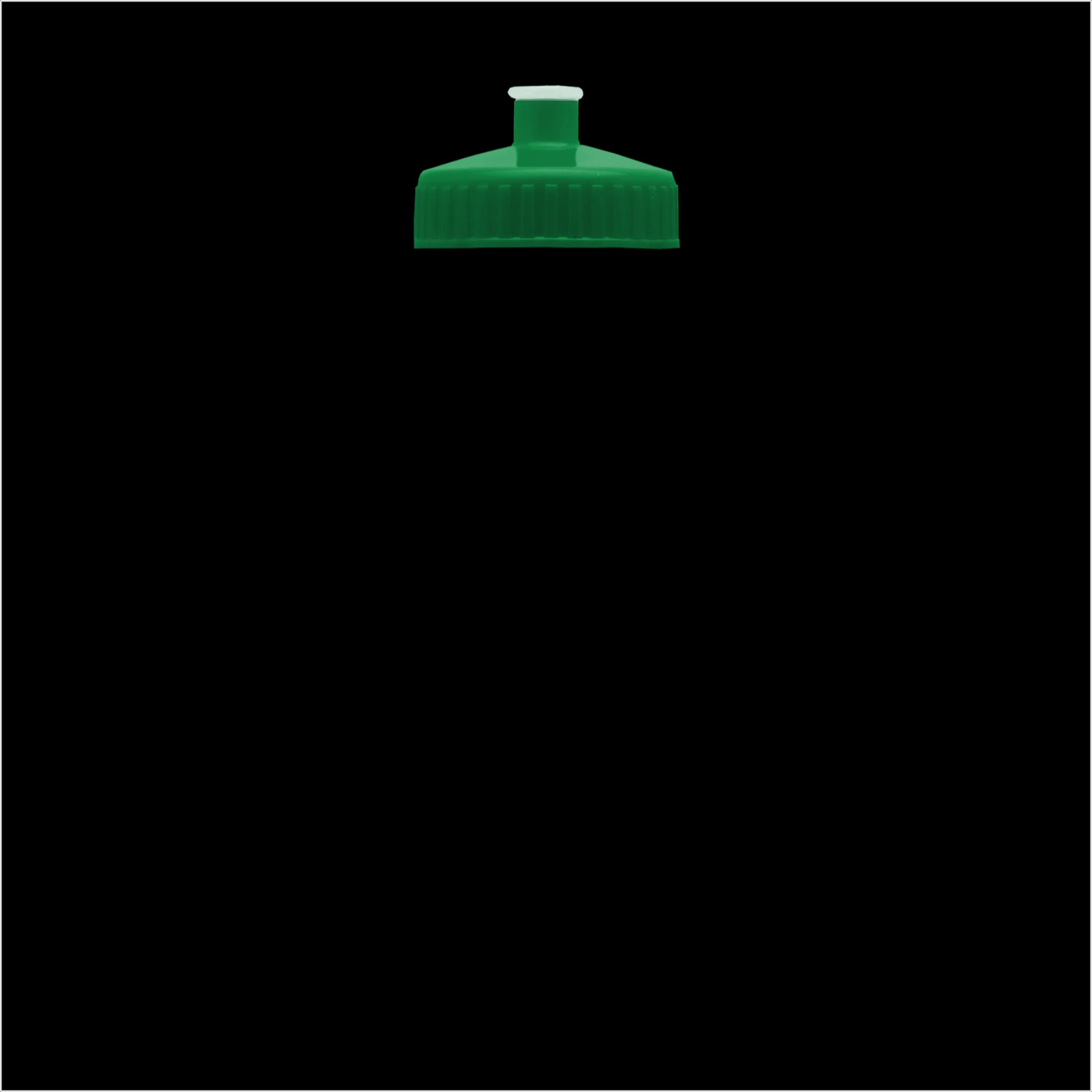 Garyline® Slim Fit RPET Bottle with Push-Pull Lid - 24 oz. 186 of 366
