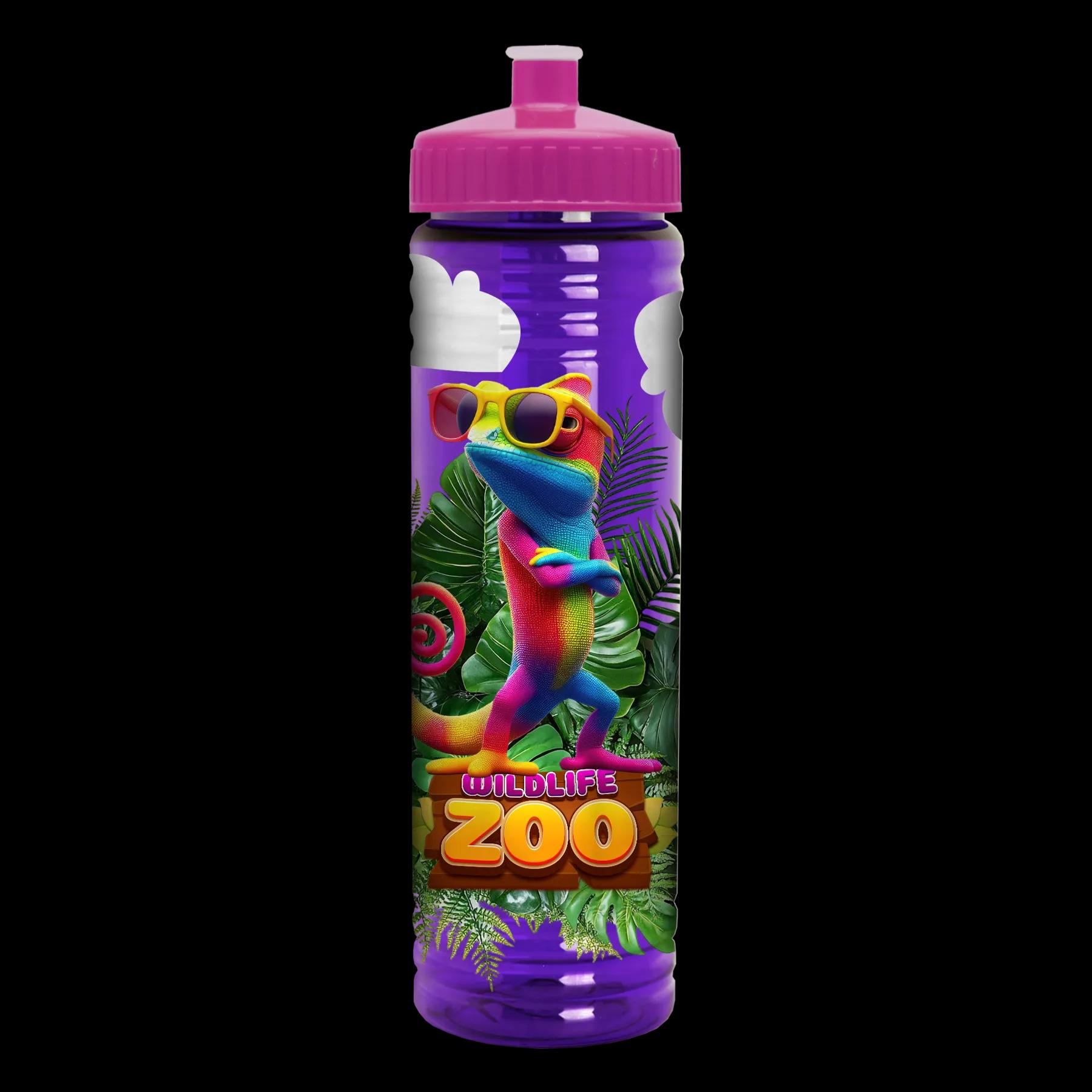 Garyline® Slim Fit RPET Bottle with Push-Pull Lid - 24 oz. 312 of 366