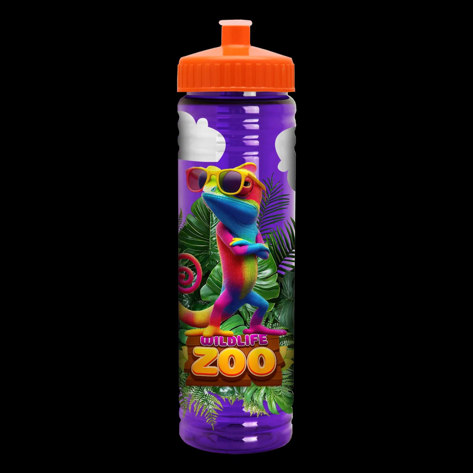 Garyline® Slim Fit RPET Bottle with Push-Pull Lid - 24 oz. 318 of 366