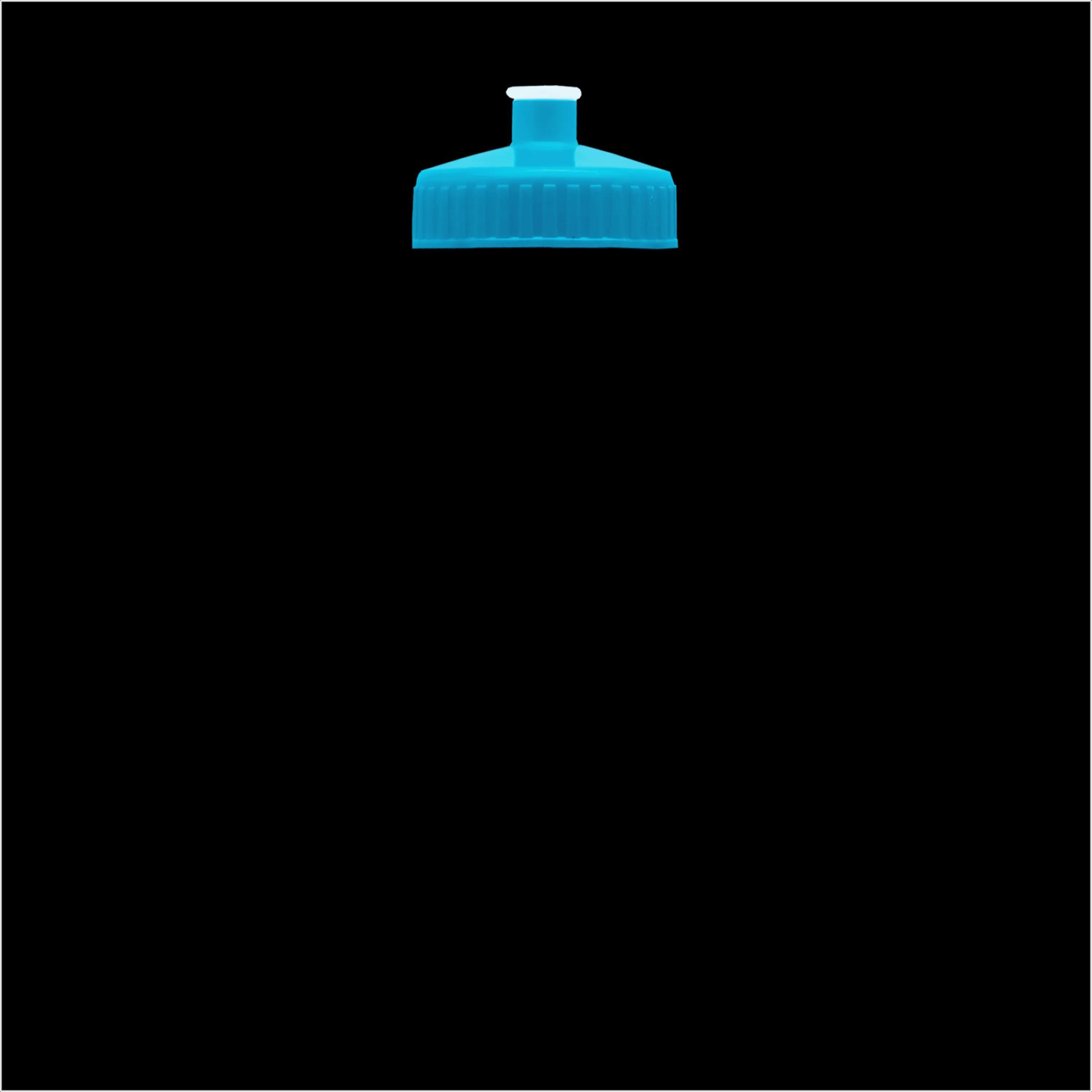 Garyline® Slim Fit RPET Bottle with Push-Pull Lid - 24 oz. 183 of 366