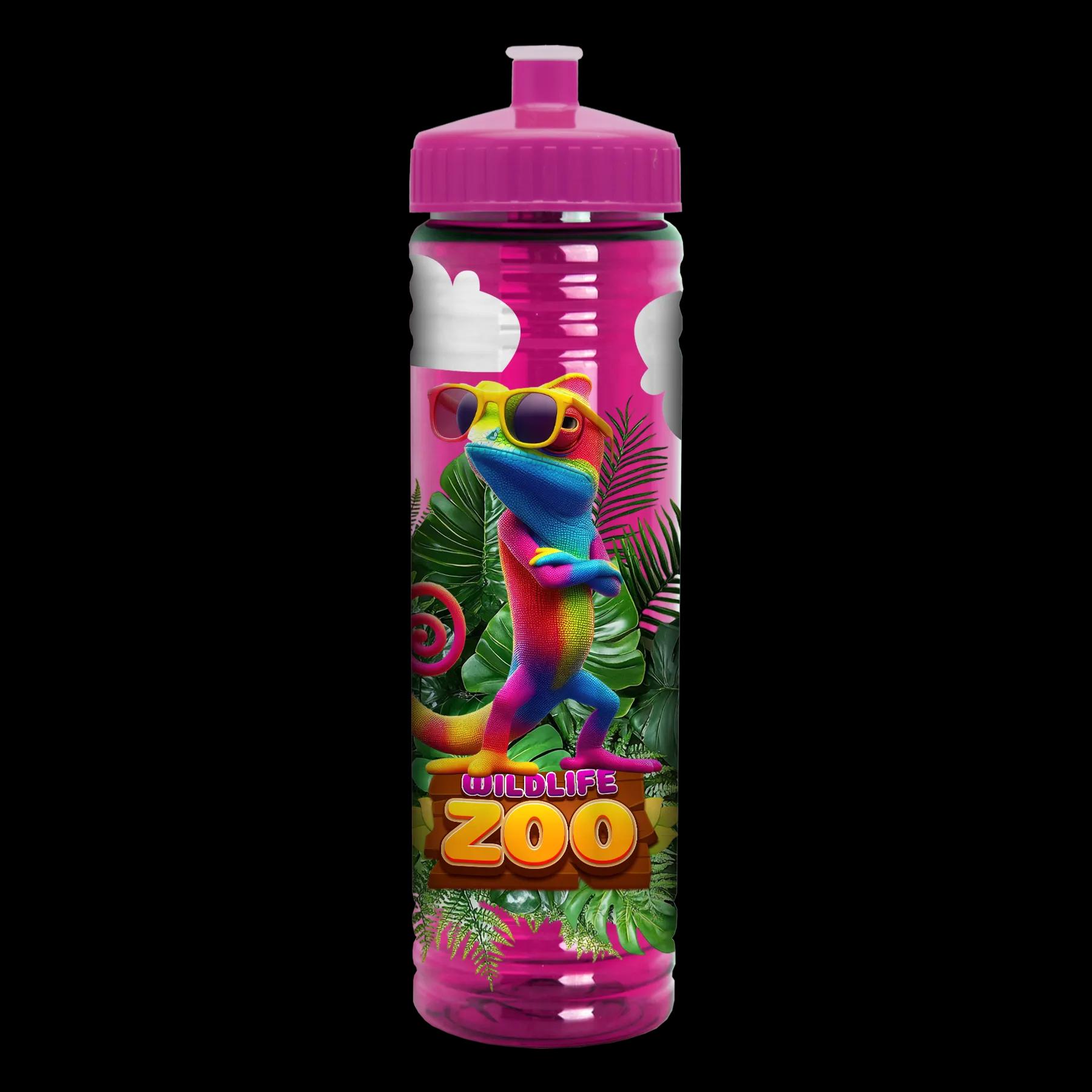 Garyline® Slim Fit RPET Bottle with Push-Pull Lid - 24 oz. 255 of 366
