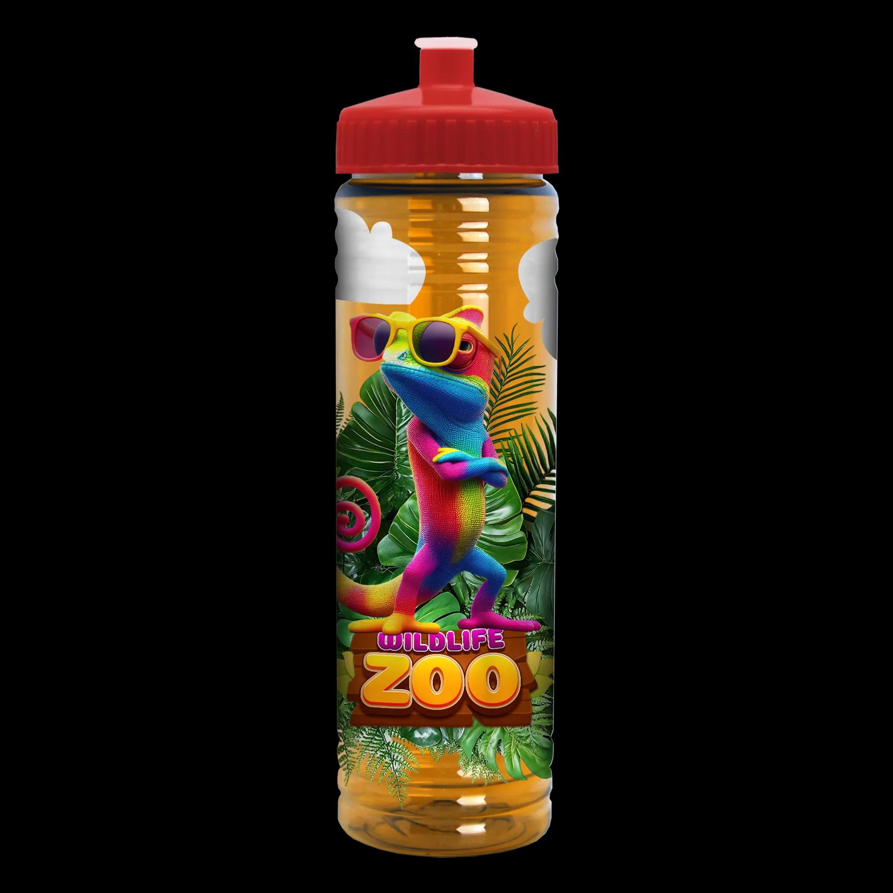 Garyline® Slim Fit RPET Bottle with Push-Pull Lid - 24 oz. 292 of 366