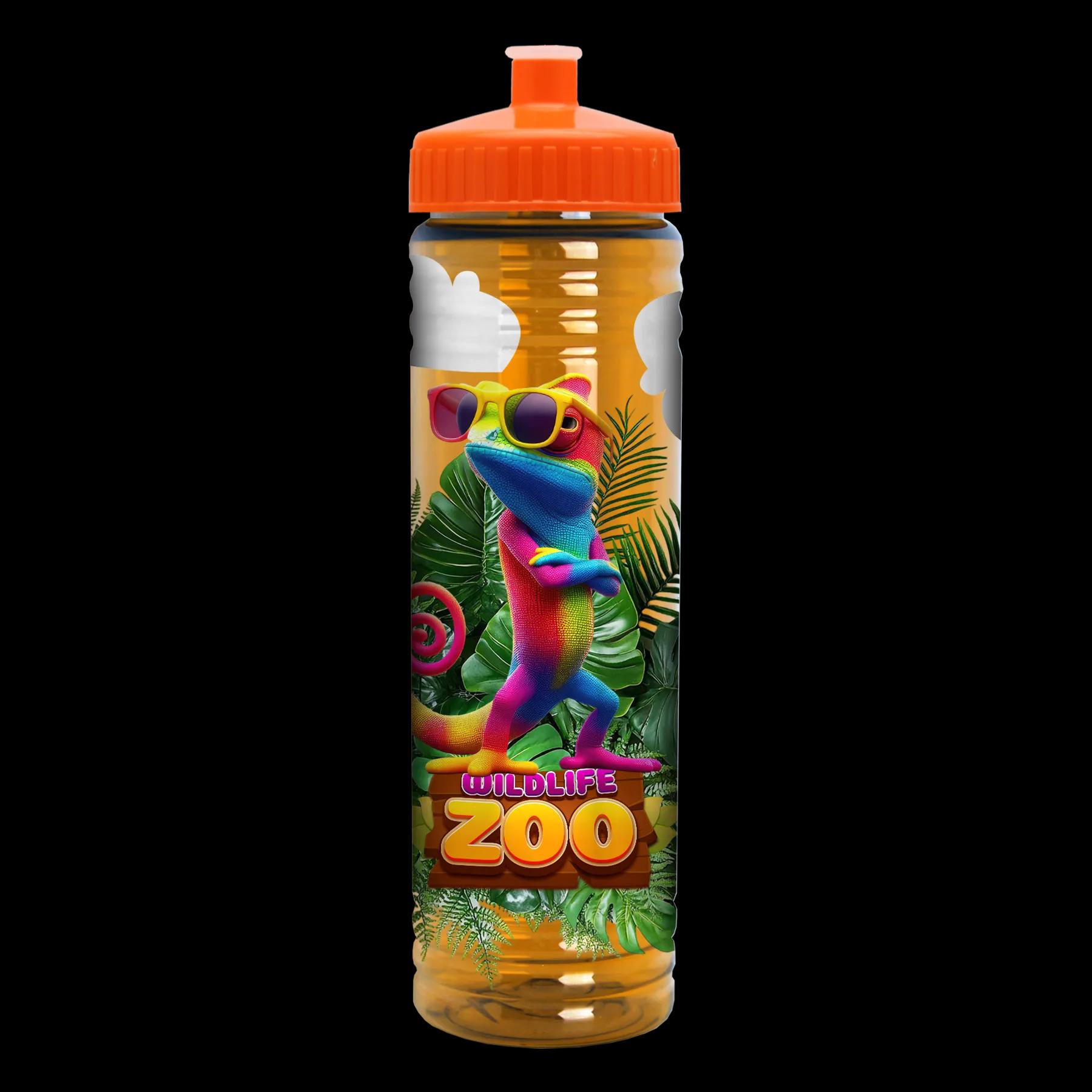 Garyline® Slim Fit RPET Bottle with Push-Pull Lid - 24 oz. 290 of 366