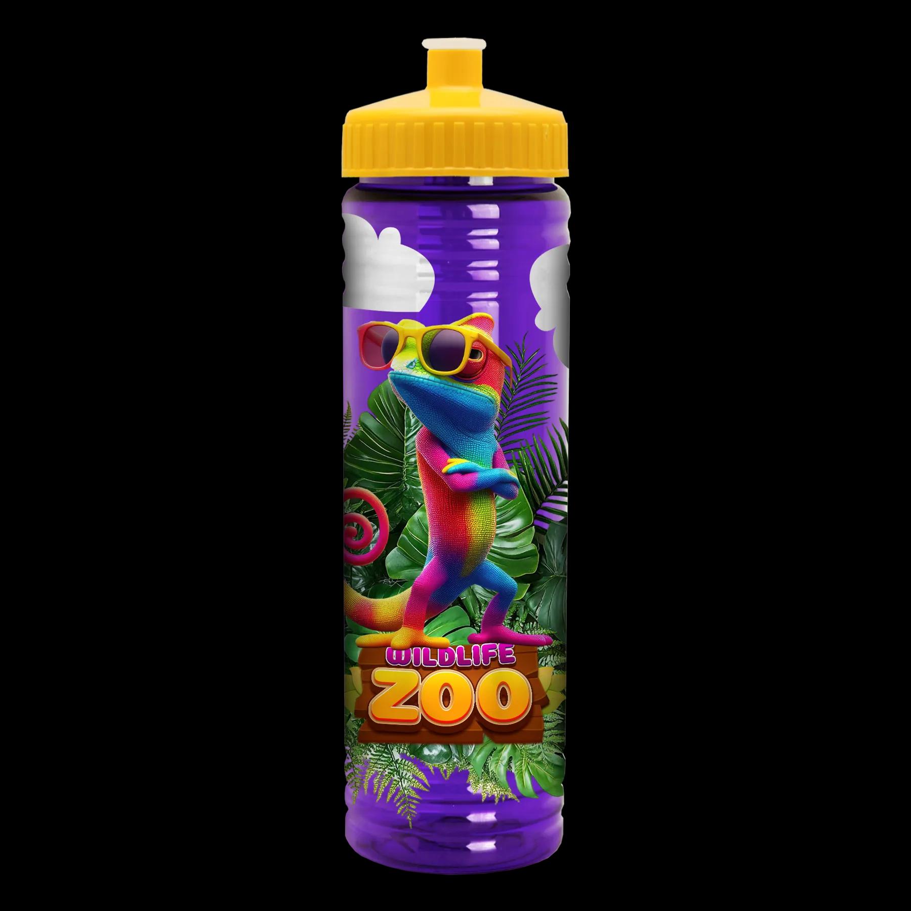 Garyline® Slim Fit RPET Bottle with Push-Pull Lid - 24 oz. 330 of 366