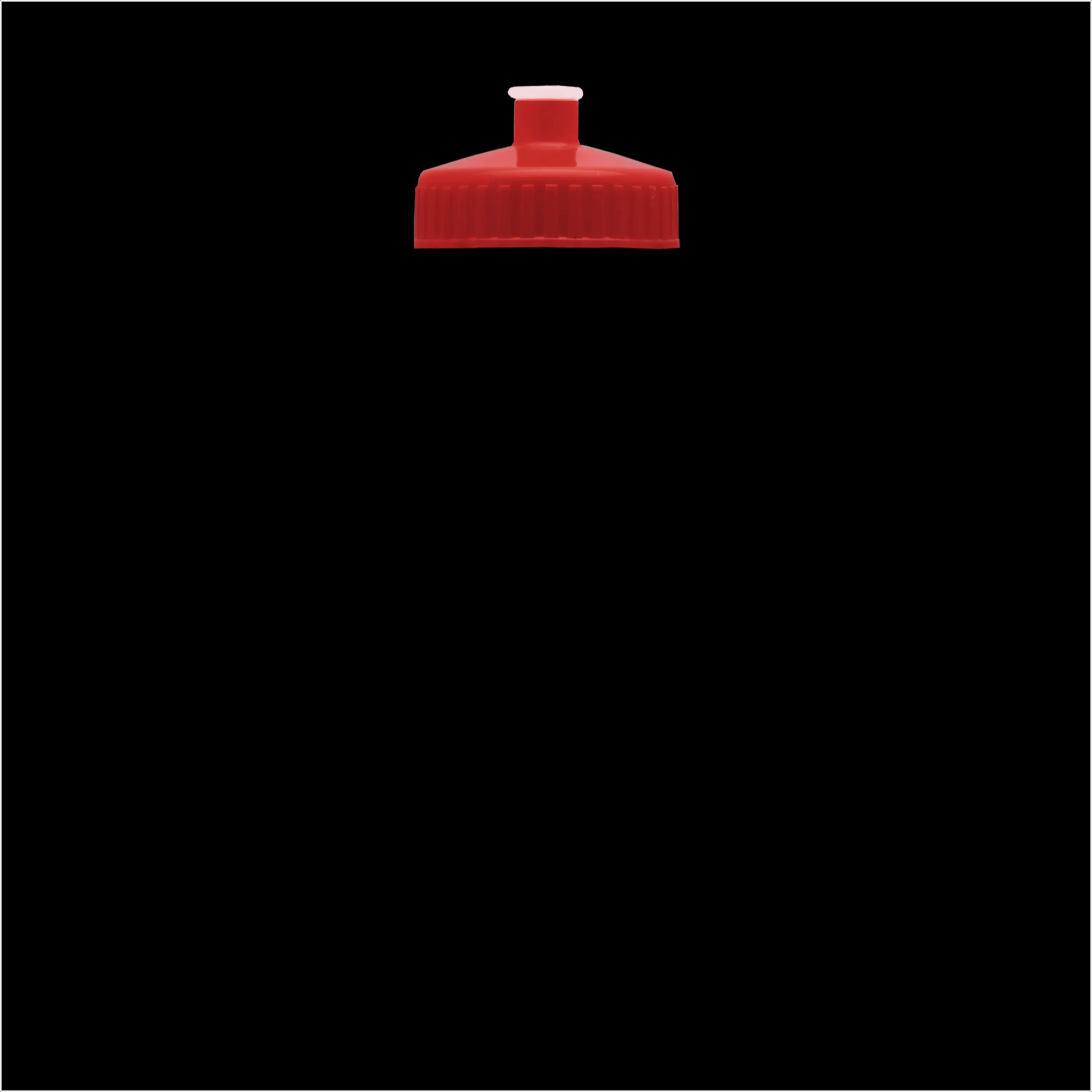 Garyline® Slim Fit RPET Bottle with Push-Pull Lid - 24 oz. 191 of 366