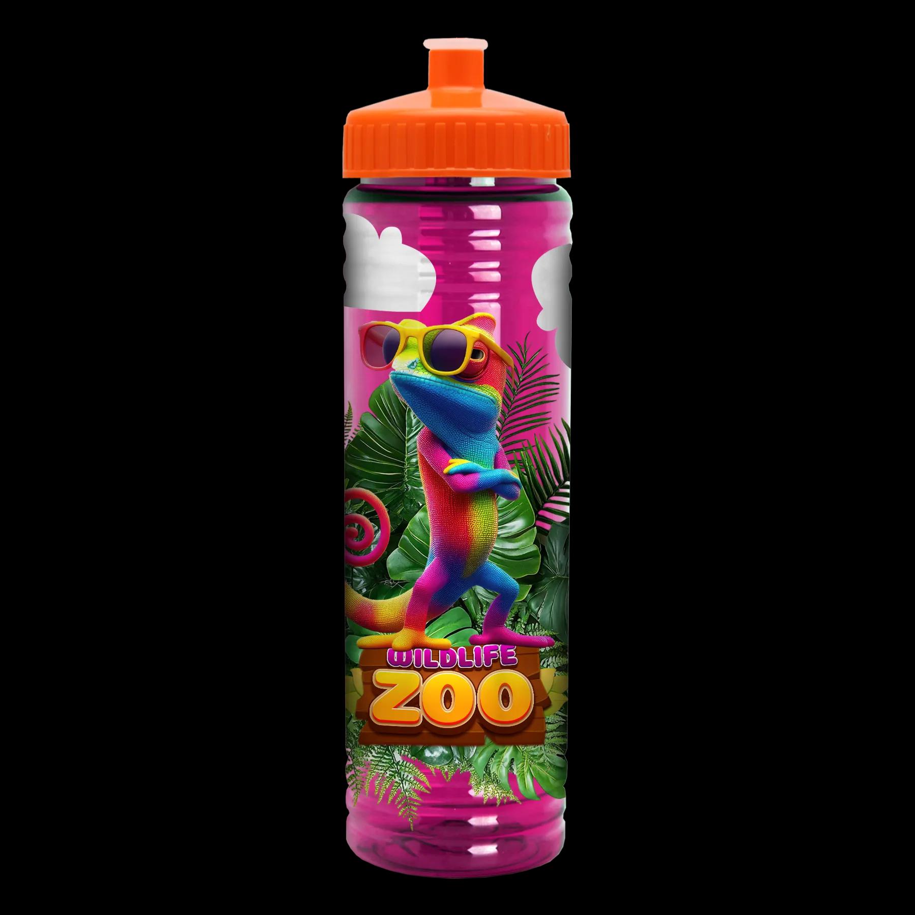 Garyline® Slim Fit RPET Bottle with Push-Pull Lid - 24 oz. 262 of 366