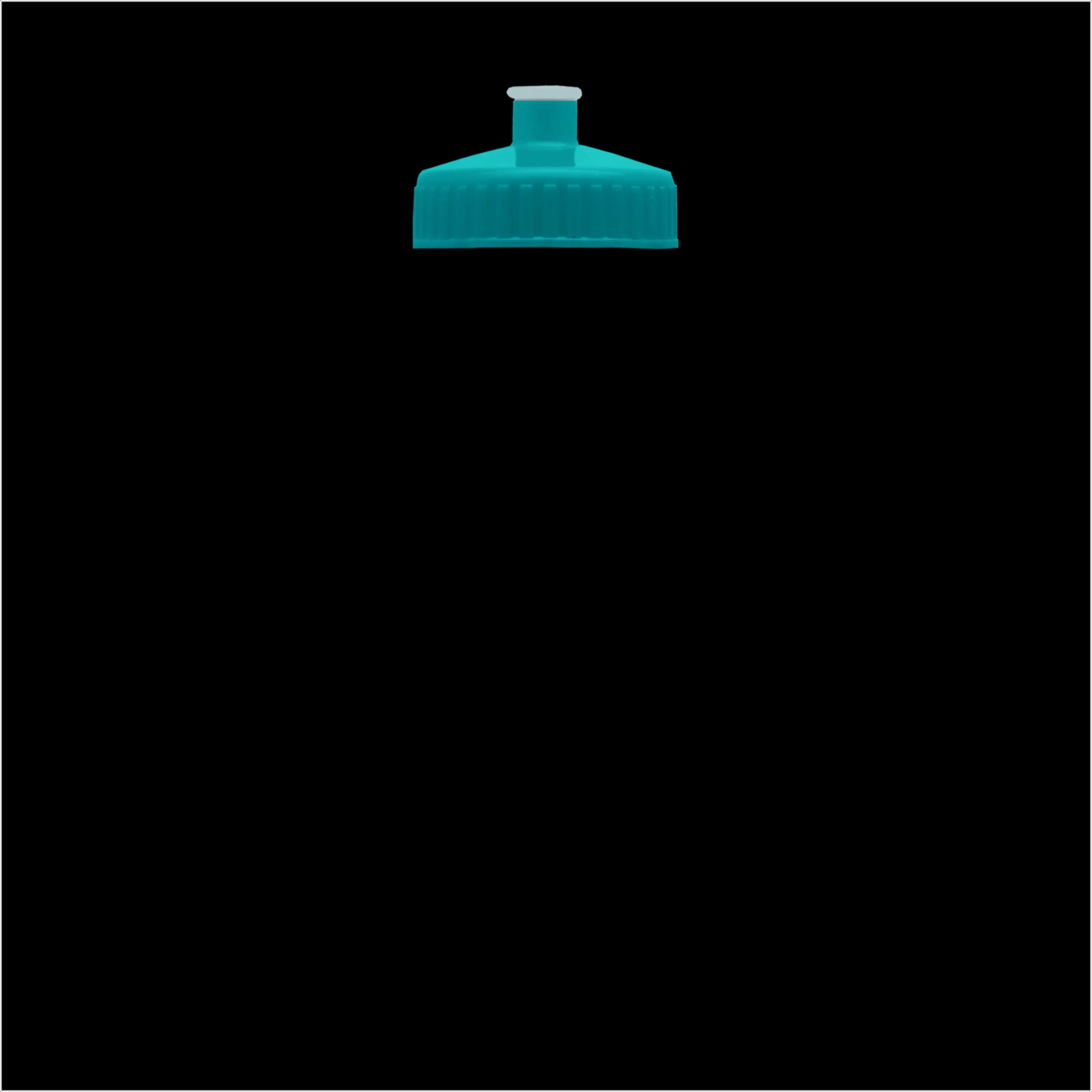 Garyline® Slim Fit RPET Bottle with Push-Pull Lid - 24 oz. 194 of 366