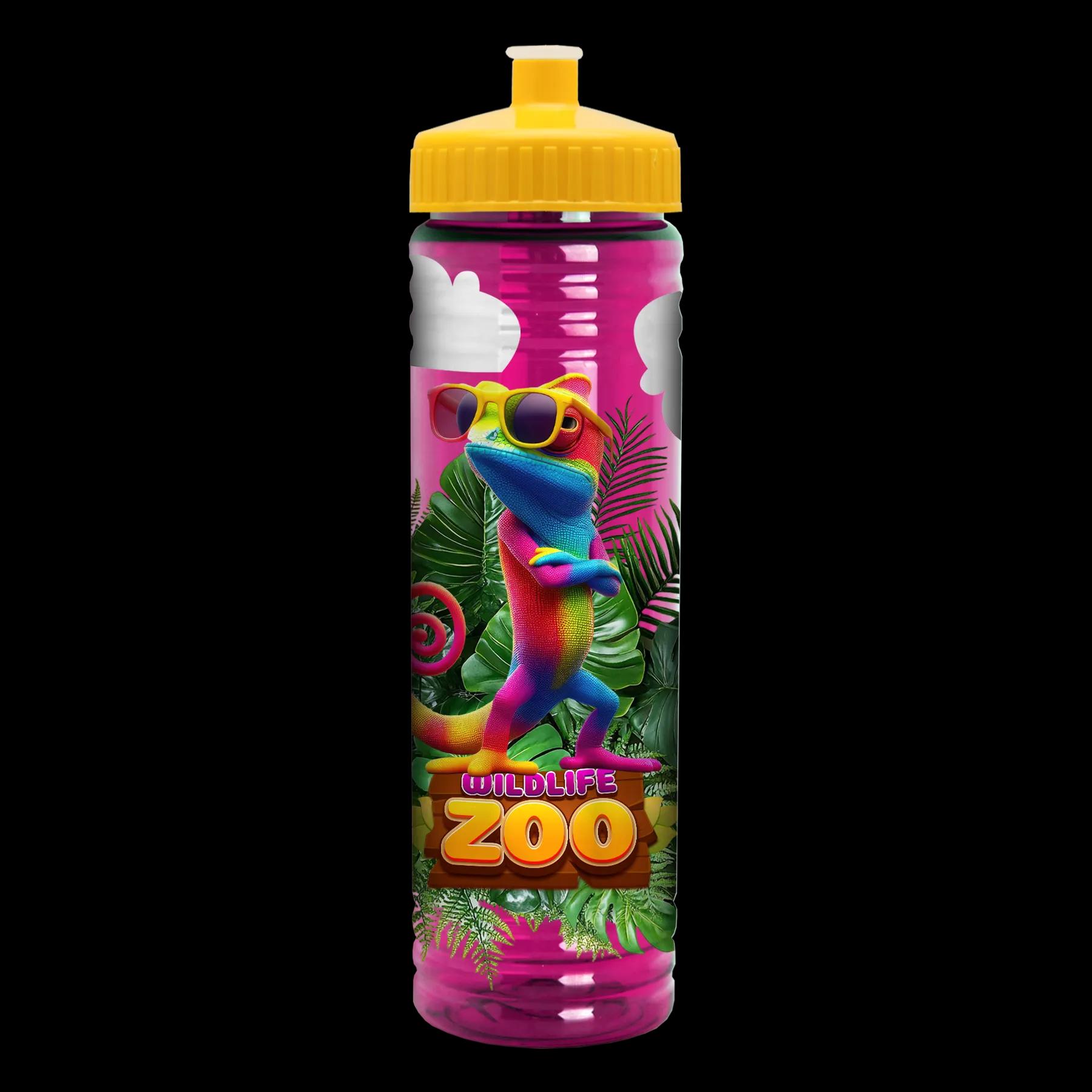 Garyline® Slim Fit RPET Bottle with Push-Pull Lid - 24 oz. 274 of 366