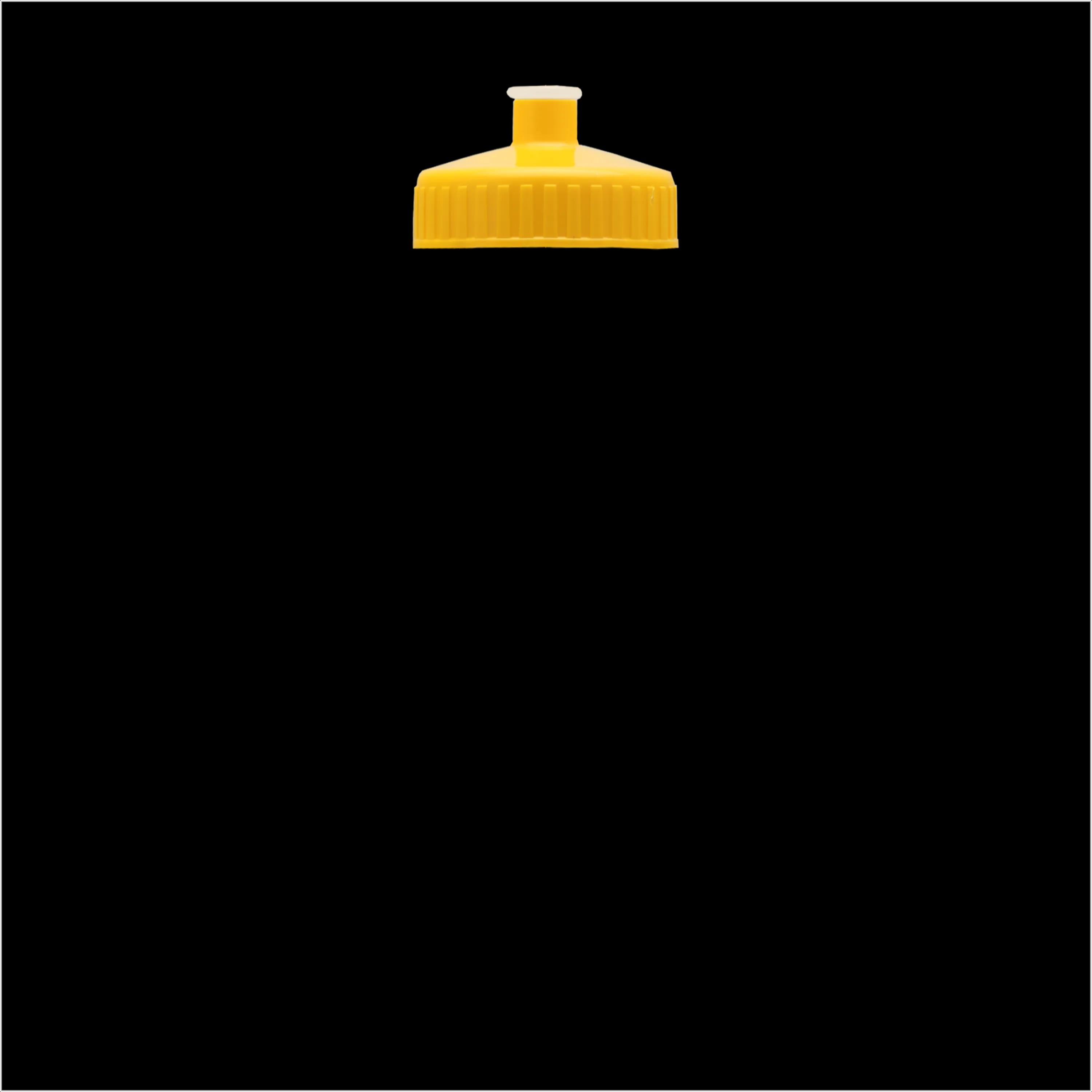 Garyline® Slim Fit RPET Bottle with Push-Pull Lid - 24 oz. 200 of 366