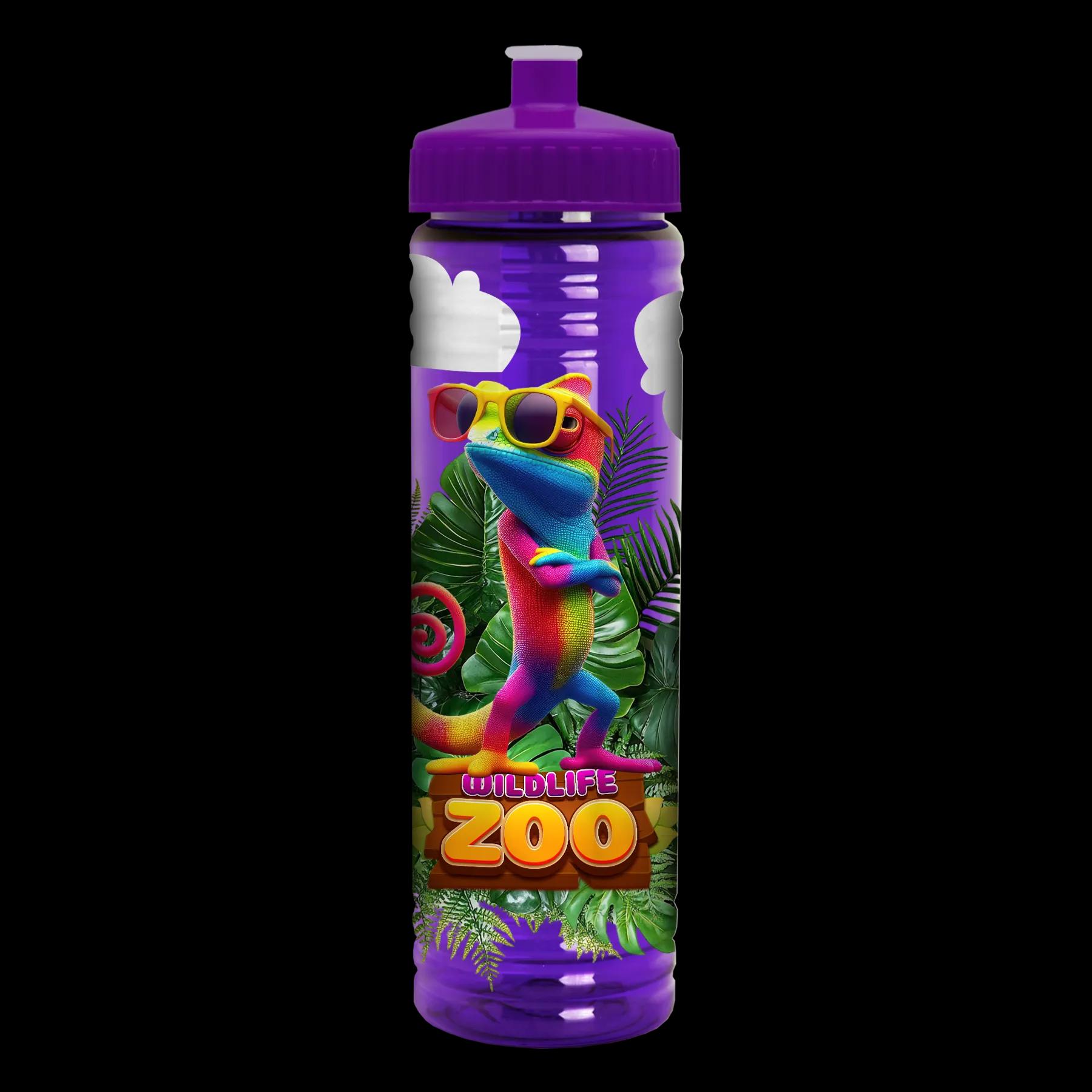 Garyline® Slim Fit RPET Bottle with Push-Pull Lid - 24 oz. 259 of 366