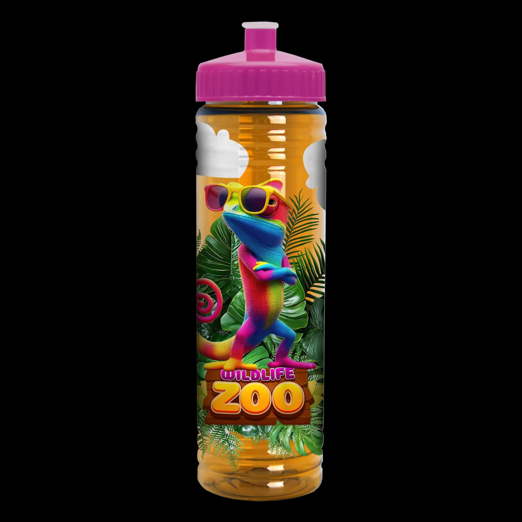 Garyline® Slim Fit RPET Bottle with Push-Pull Lid - 24 oz. 284 of 366