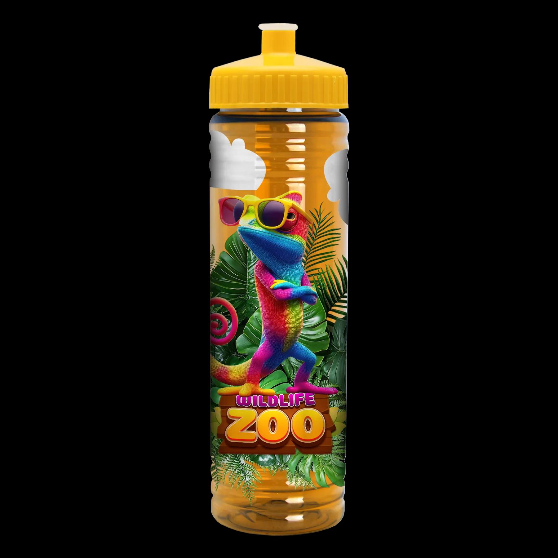 Garyline® Slim Fit RPET Bottle with Push-Pull Lid - 24 oz. 302 of 366