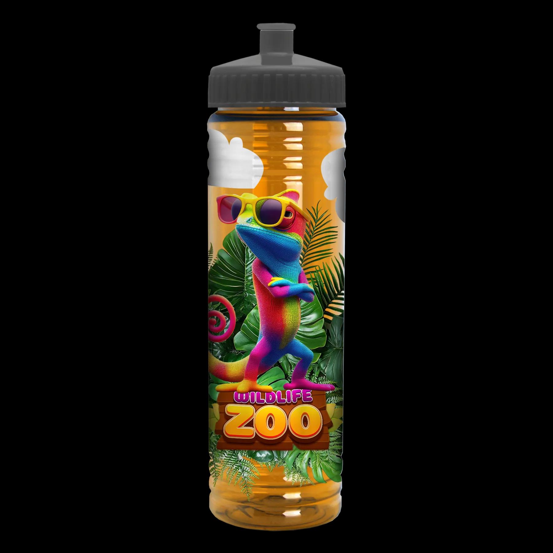 Garyline® Slim Fit RPET Bottle with Push-Pull Lid - 24 oz. 280 of 366