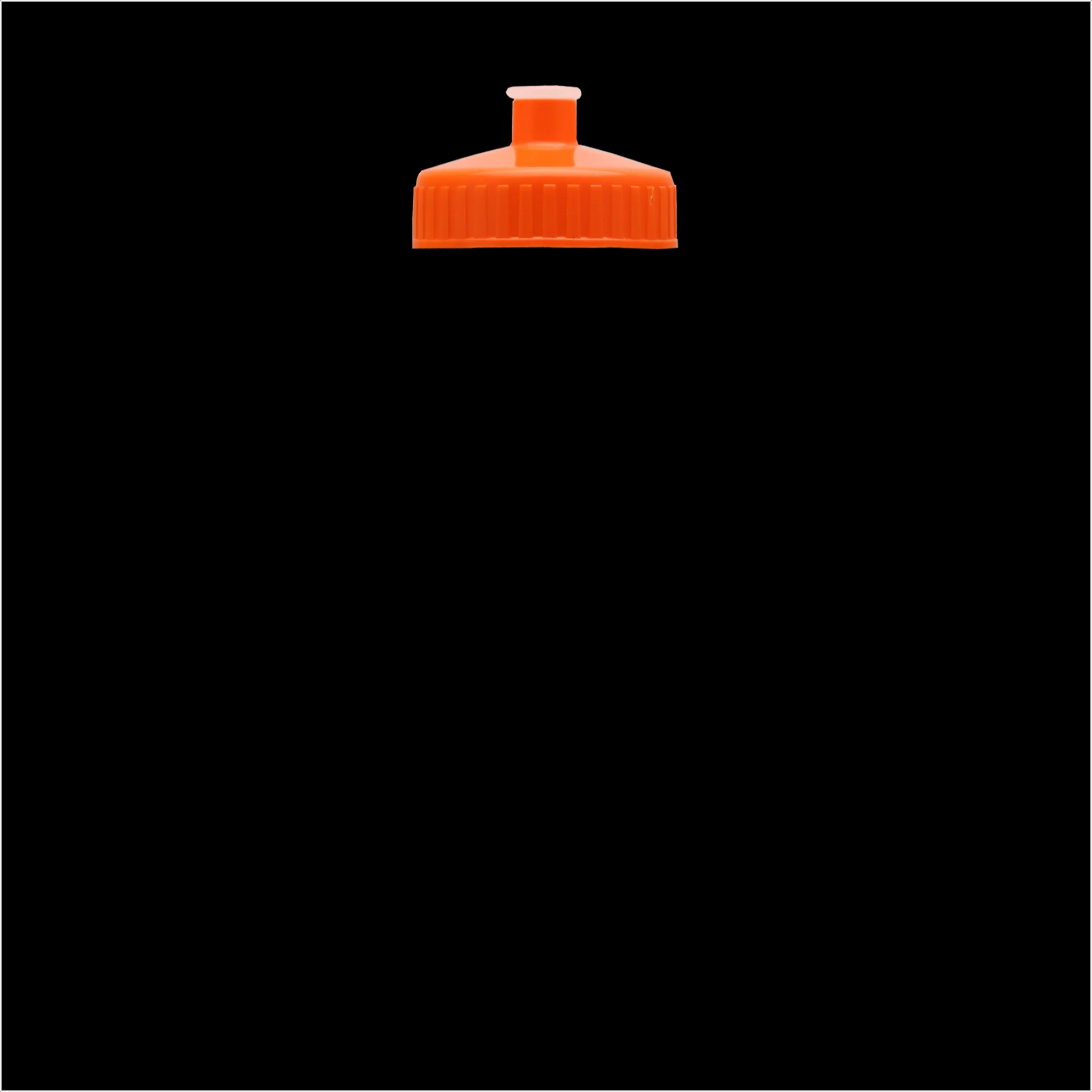 Garyline® Slim Fit RPET Bottle with Push-Pull Lid - 24 oz. 190 of 366