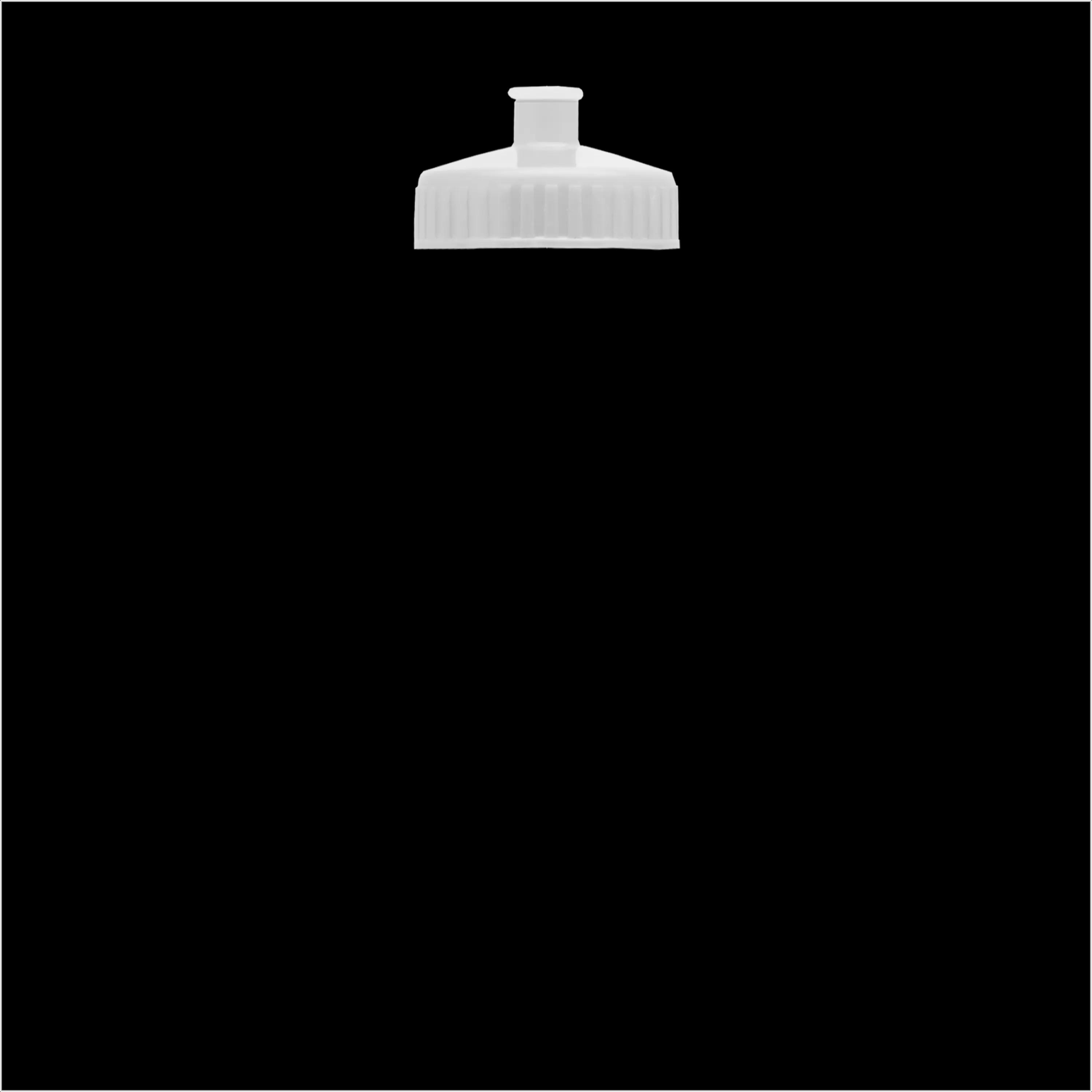 Garyline® Slim Fit RPET Bottle with Push-Pull Lid - 24 oz. 199 of 366