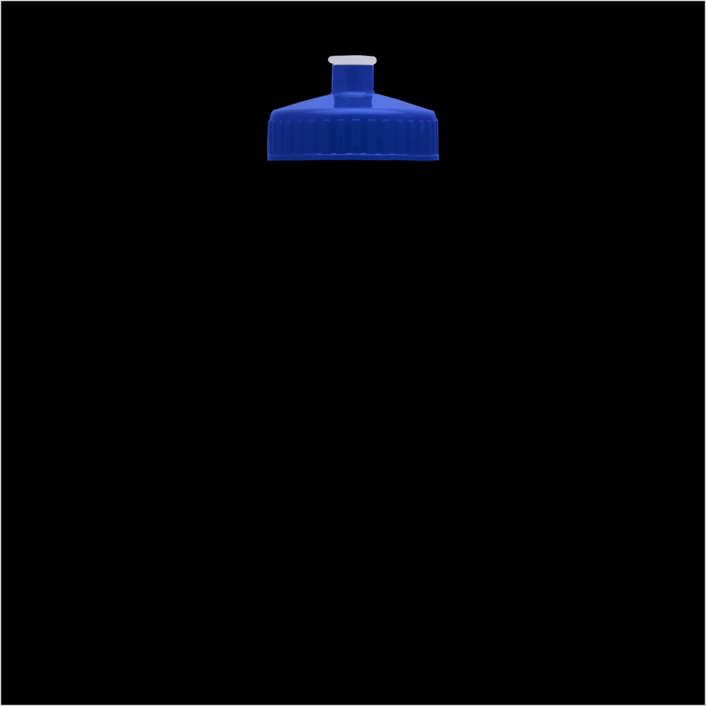 Garyline® Slim Fit RPET Bottle with Push-Pull Lid - 24 oz. 192 of 366