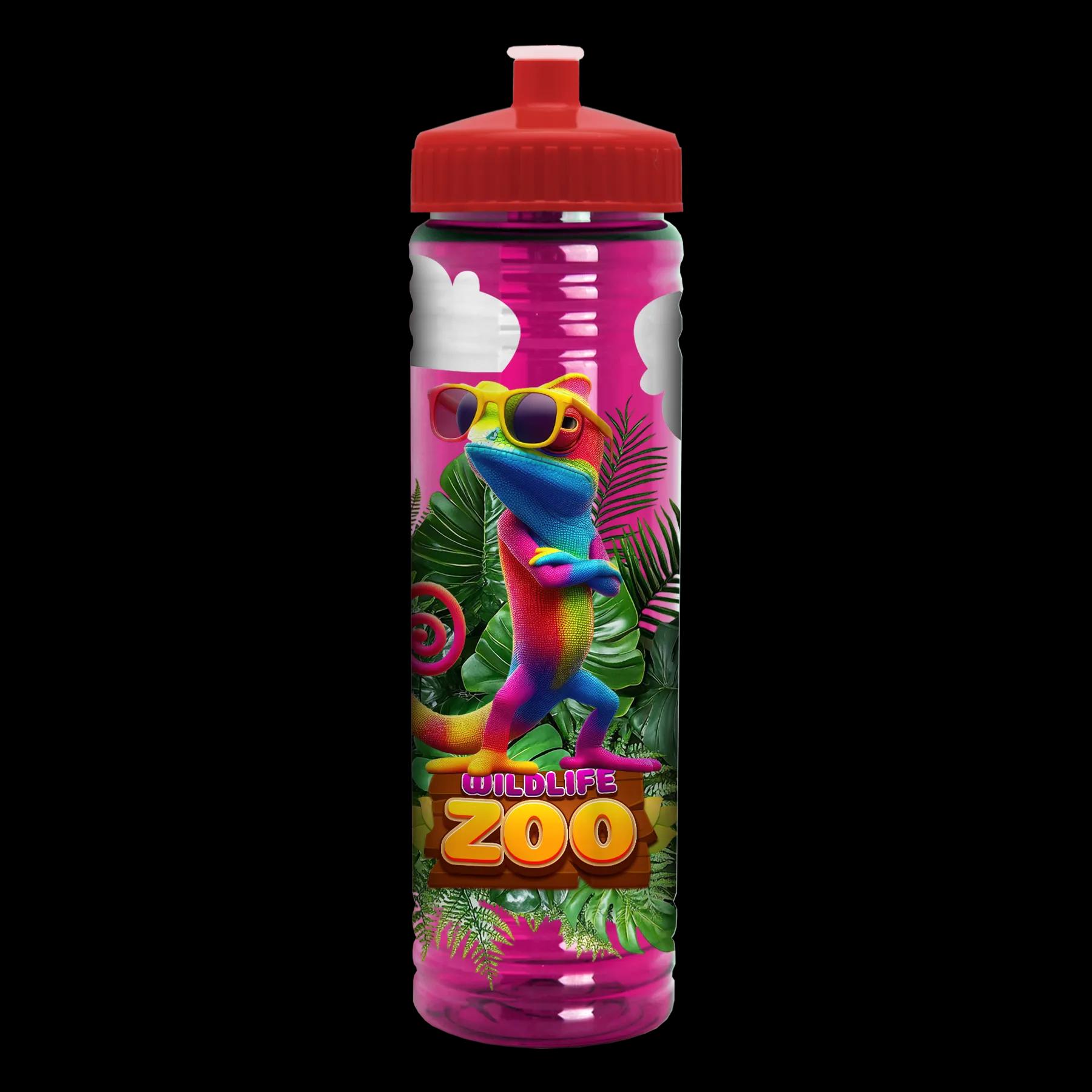 Garyline® Slim Fit RPET Bottle with Push-Pull Lid - 24 oz. 264 of 366