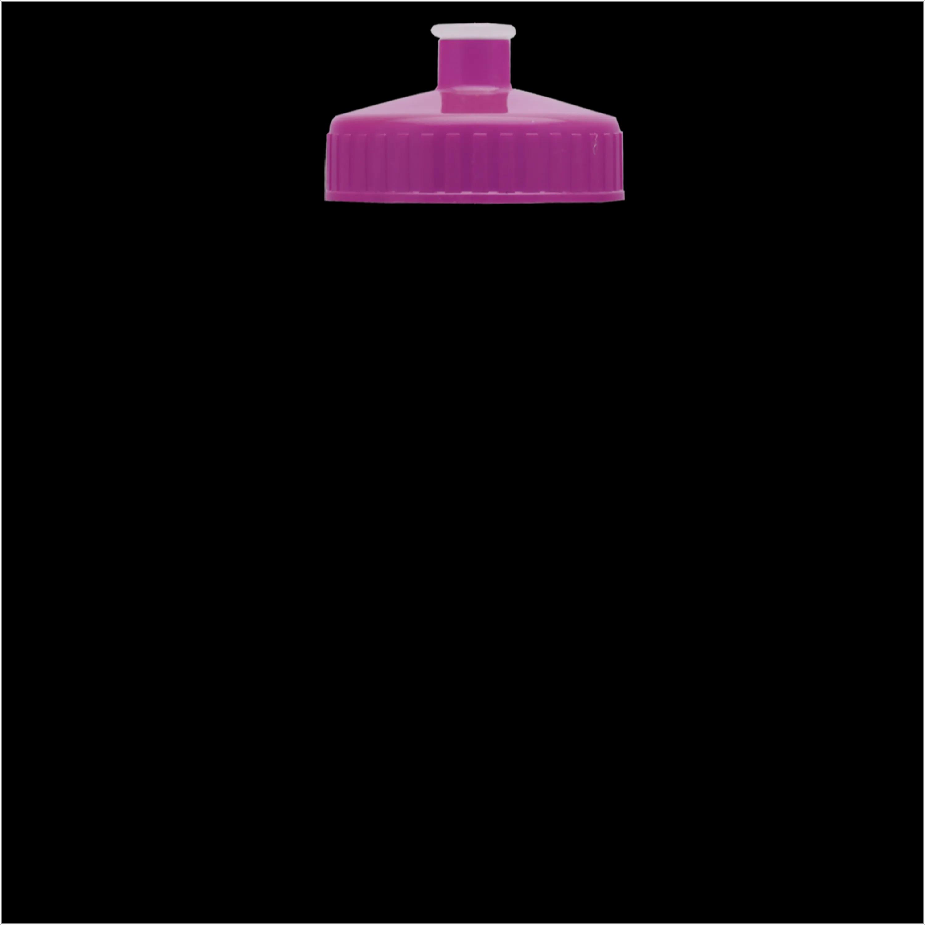 Garyline® Recycled Bike Bottle with Push-Pull Lid - 22 oz. 318 of 347