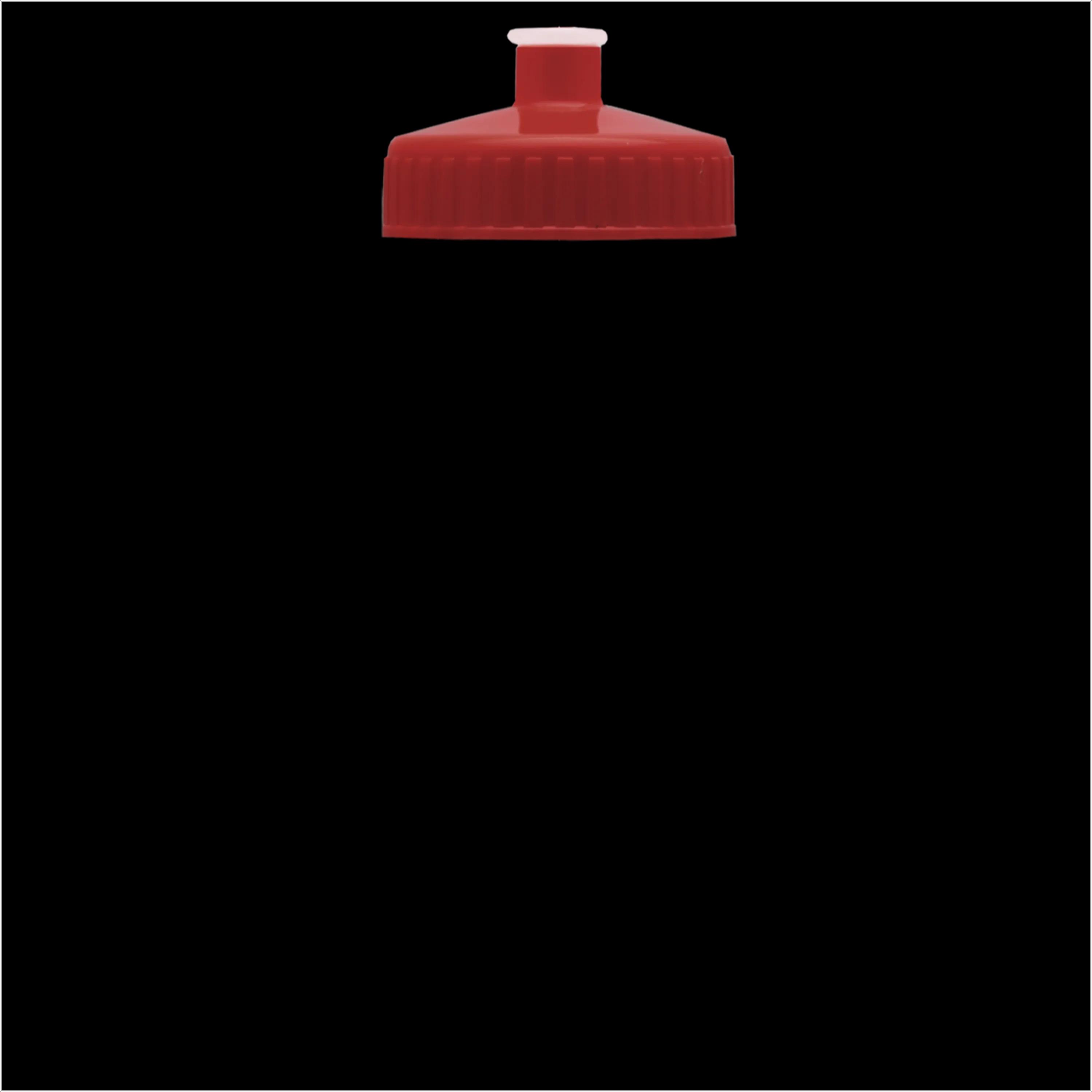 Garyline® Recycled Bike Bottle with Push-Pull Lid - 22 oz. 324 of 347