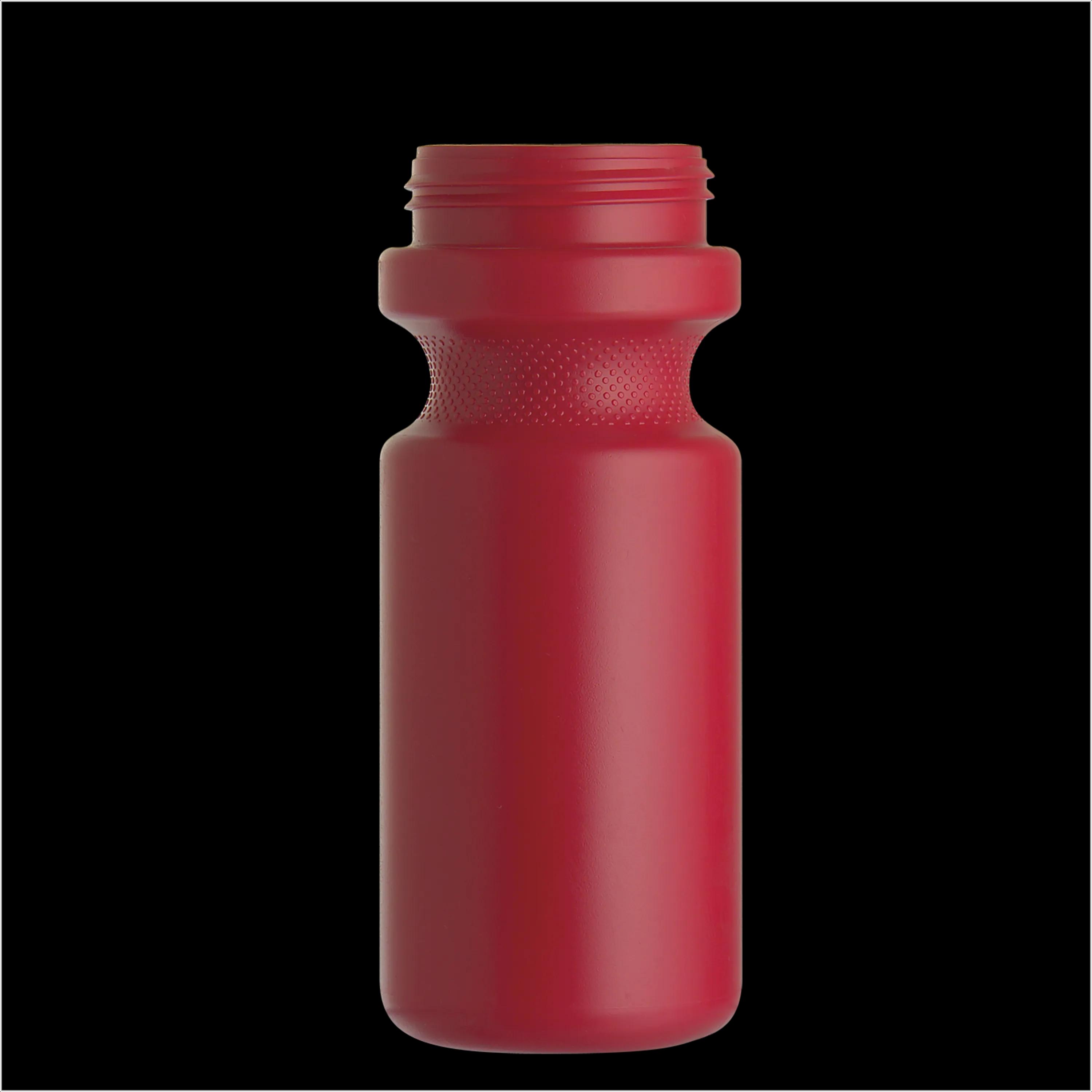 Garyline® Recycled Bike Bottle with Push-Pull Lid - 22 oz. 323 of 347