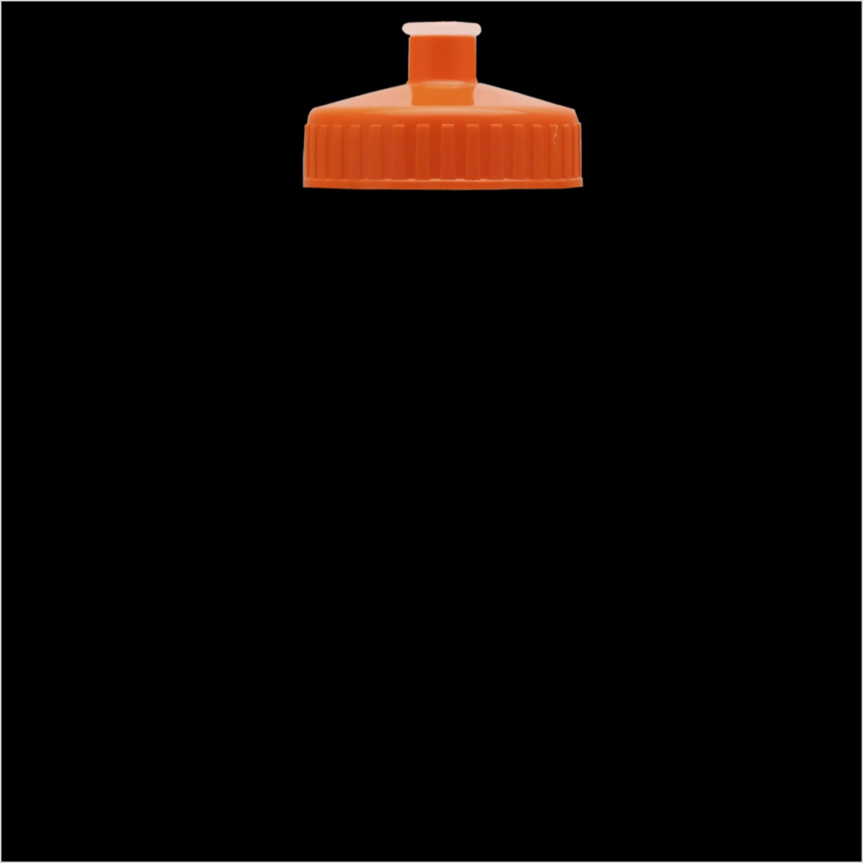 Garyline® Recycled Bike Bottle with Push-Pull Lid - 22 oz. 322 of 347