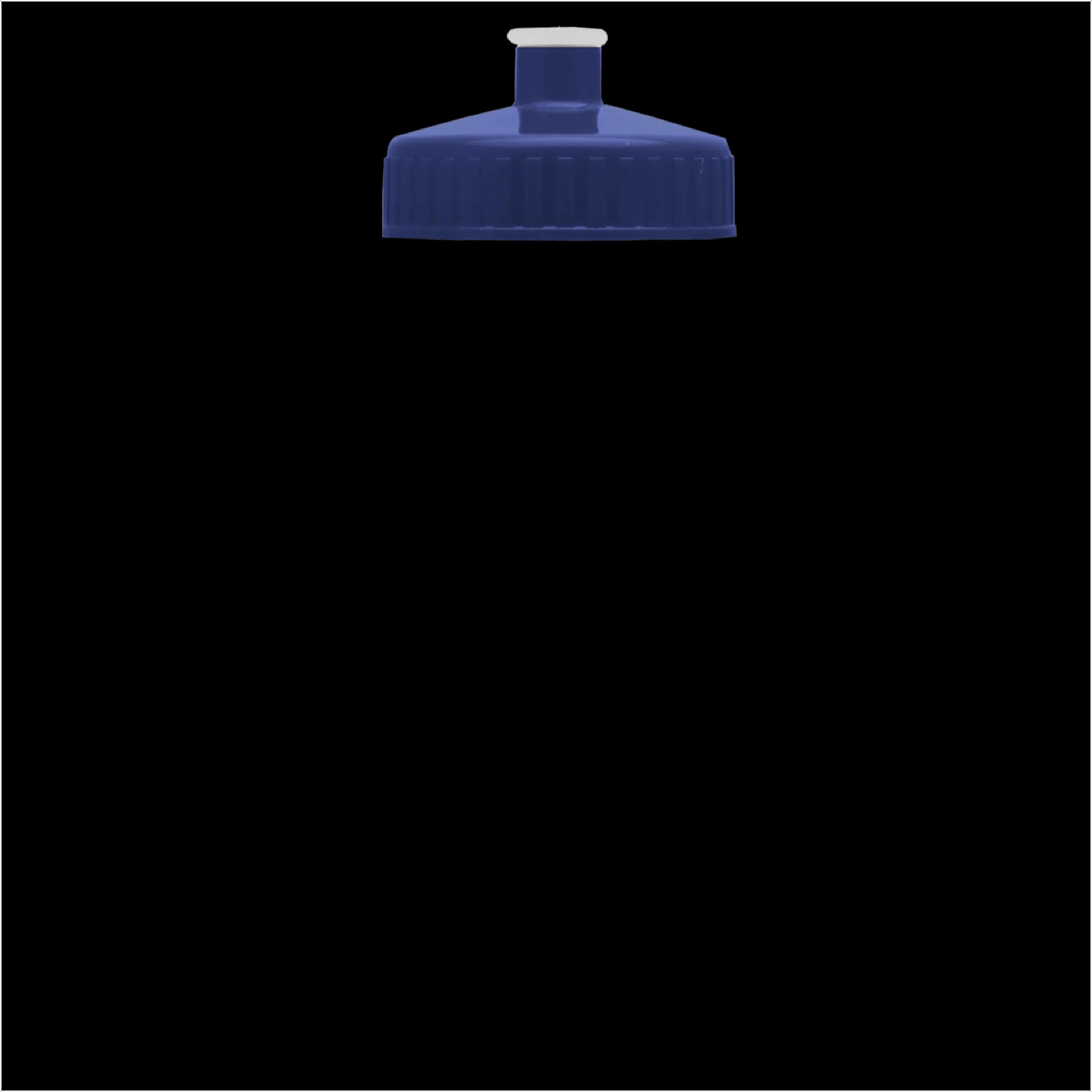 Garyline® Recycled Bike Bottle with Push-Pull Lid - 22 oz. 321 of 347