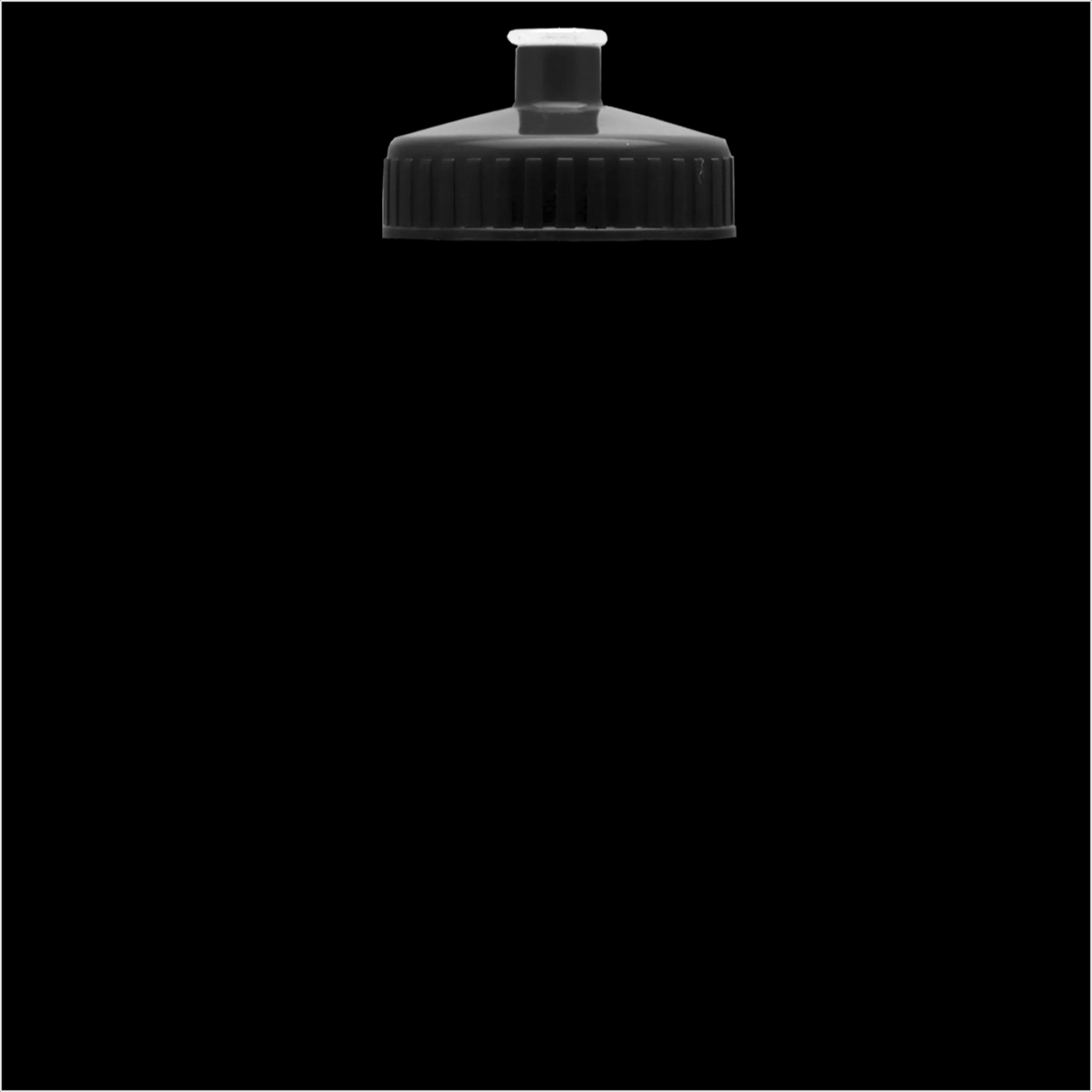 Garyline® Recycled Bike Bottle with Push-Pull Lid - 22 oz. 312 of 347