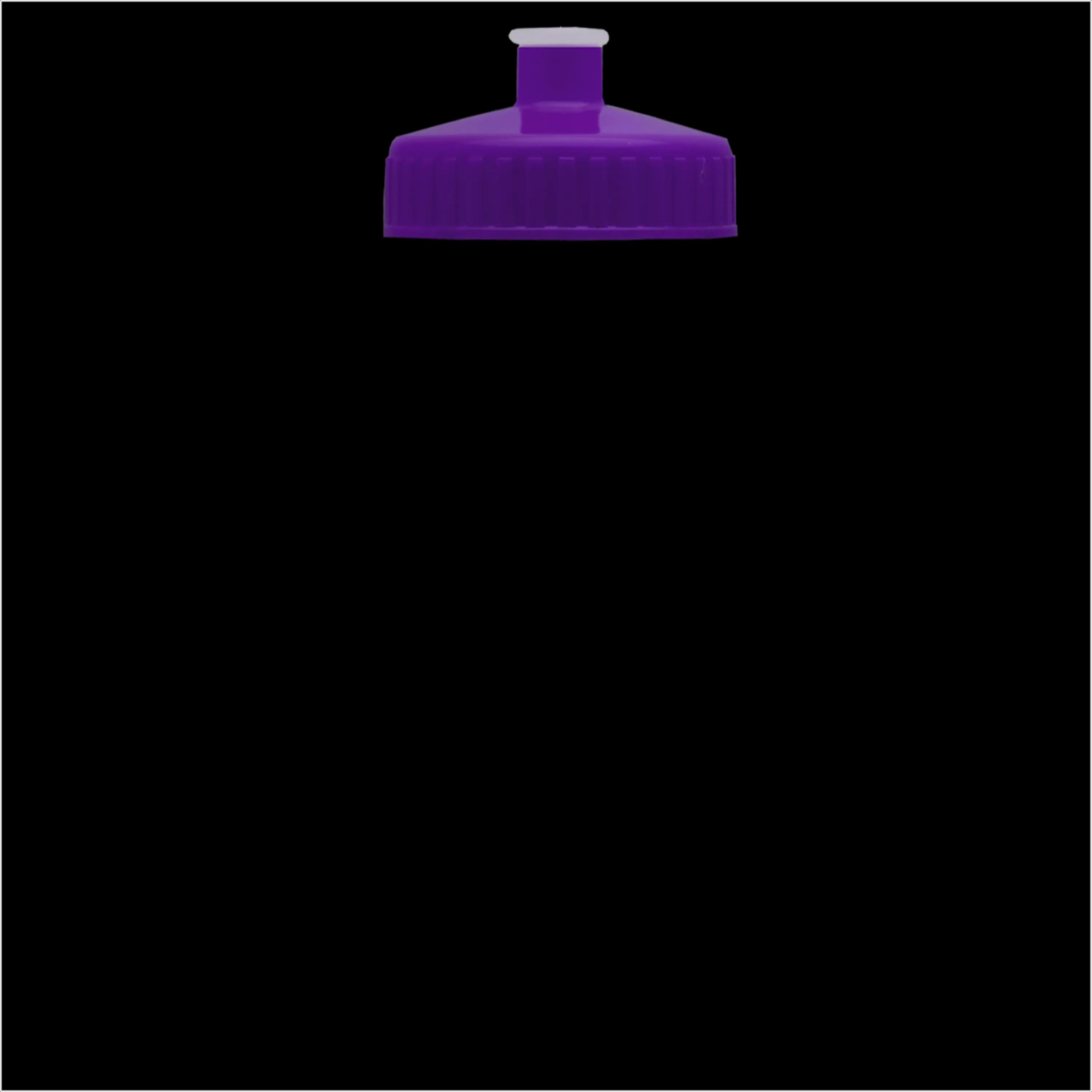 Garyline® Recycled Bike Bottle with Push-Pull Lid - 22 oz. 328 of 347