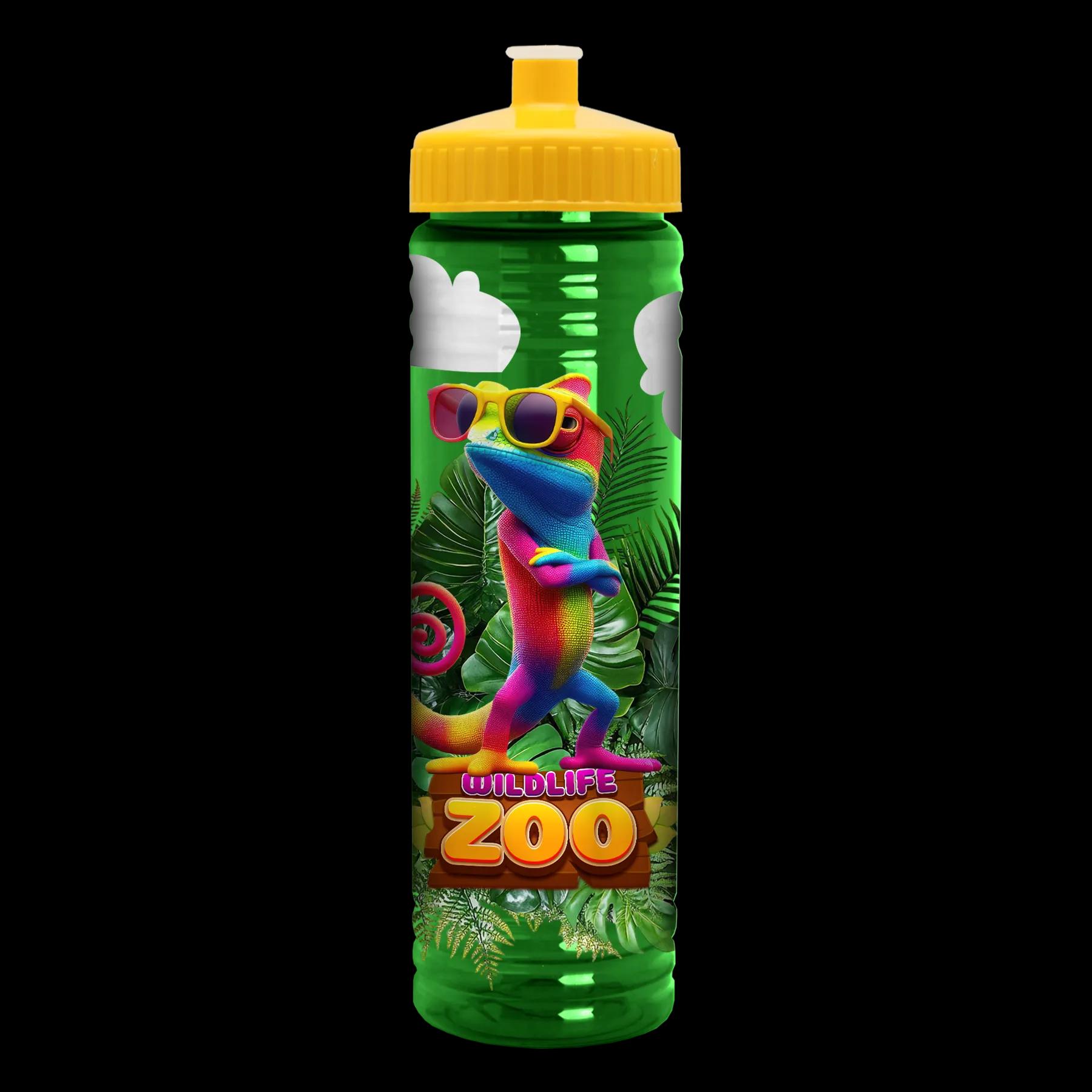 Garyline® Slim Fit Bottle with Push-Pull Lid - 24 oz. 110 of 170