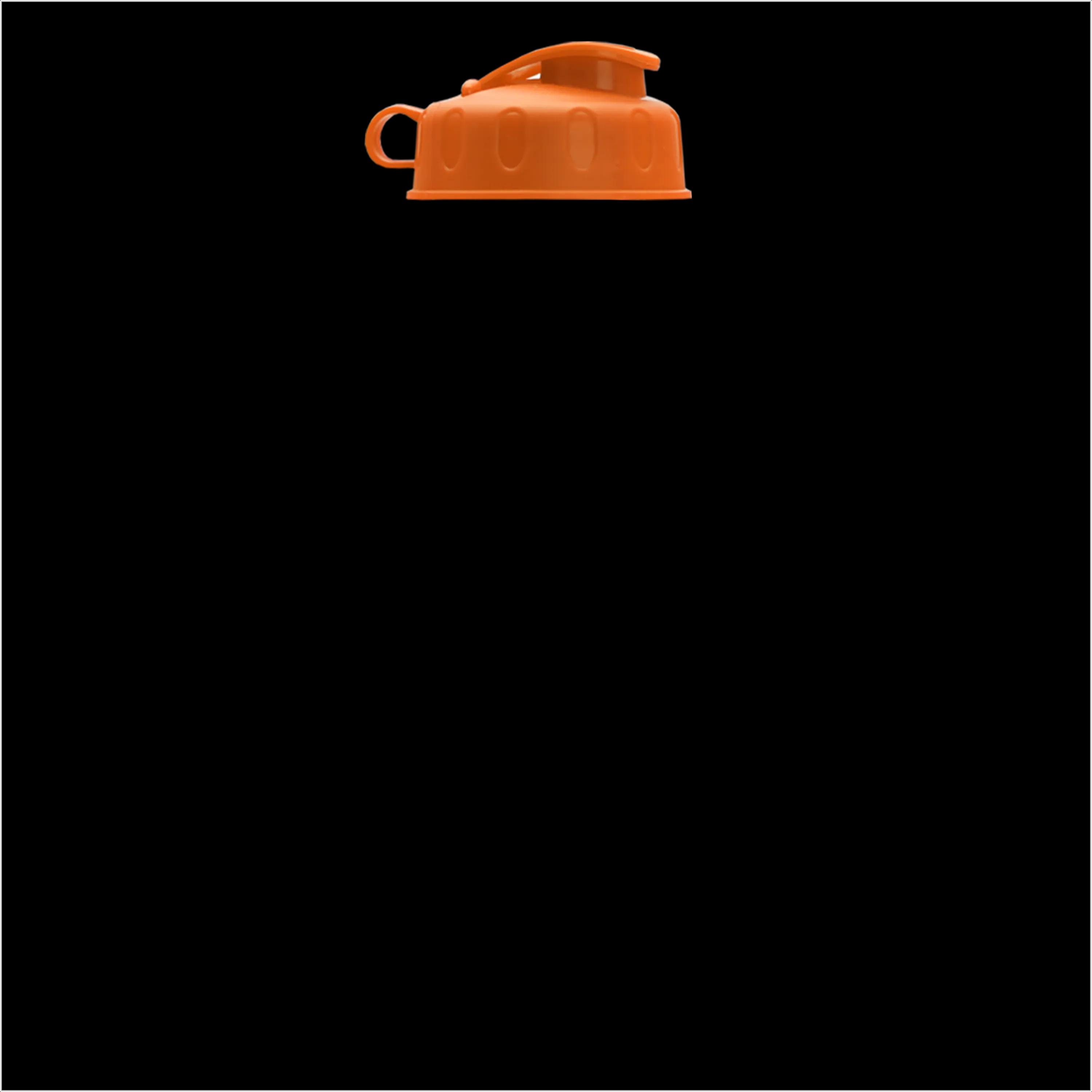 Garyline® Champ Recycled Bottle with Flip Lid - 28 oz. 247 of 304