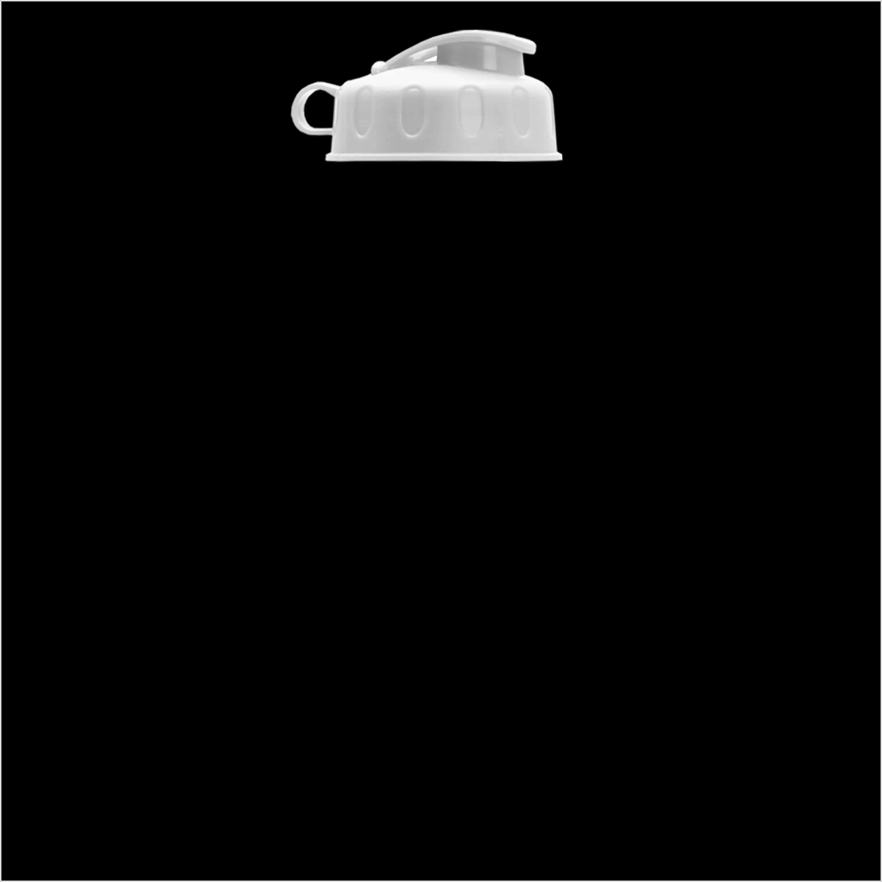 Garyline® Champ Recycled Bottle with Flip Lid - 28 oz. 261 of 304