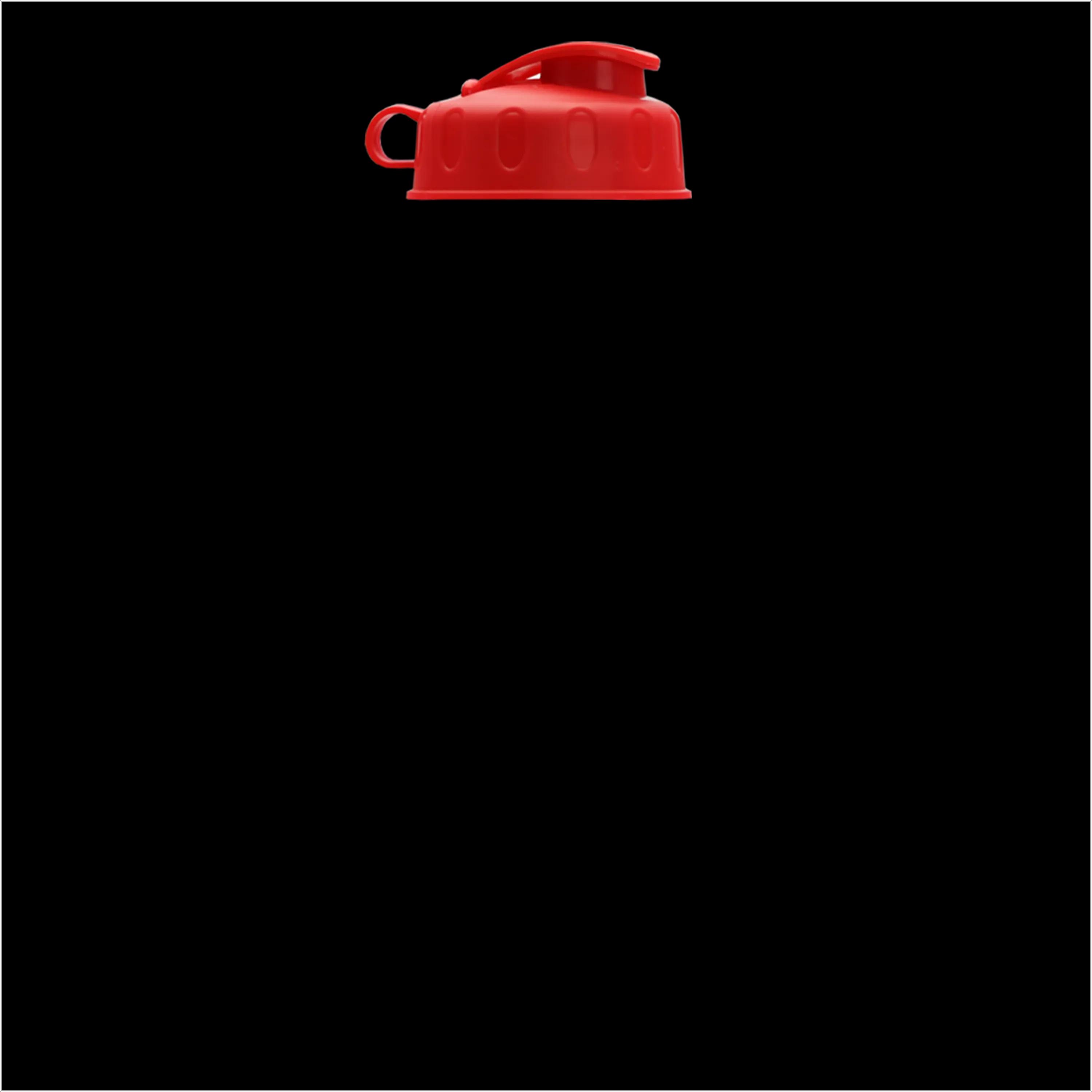 Garyline® Champ Recycled Bottle with Flip Lid - 28 oz. 248 of 304
