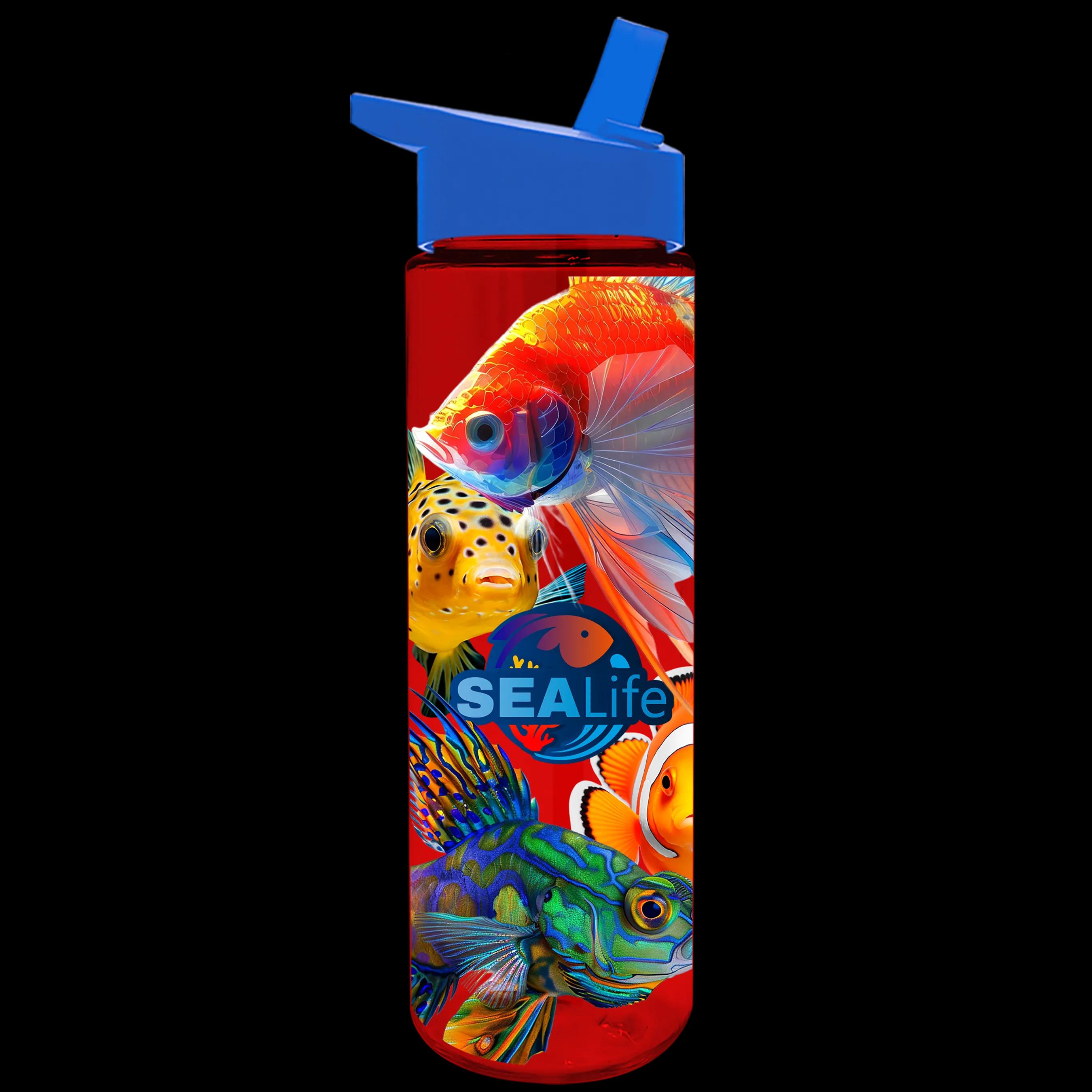 Garyline® Freedom Tritan® Bottle with Flip-Straw Lid - 28 oz. 168 of 241